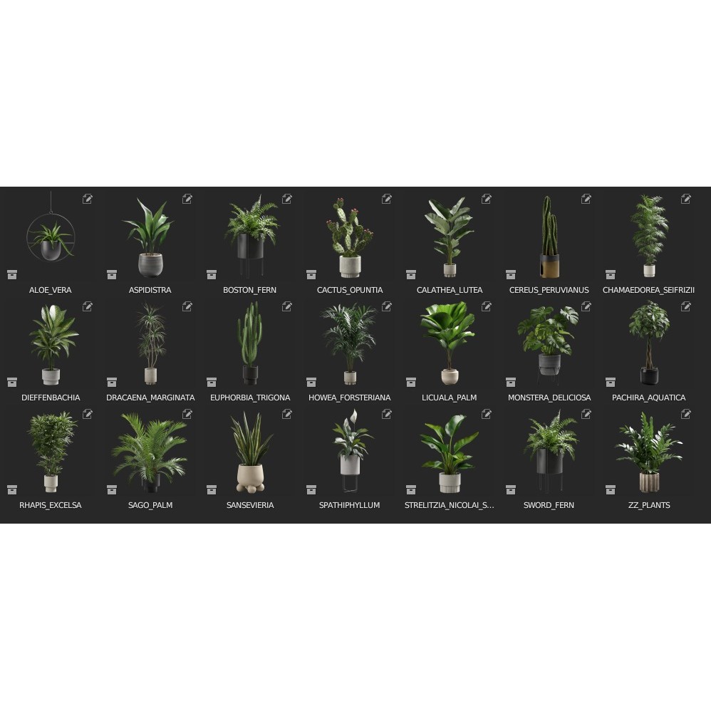 Plants Collection for Archviz 02 - Game-Ready 3D Model - View 5