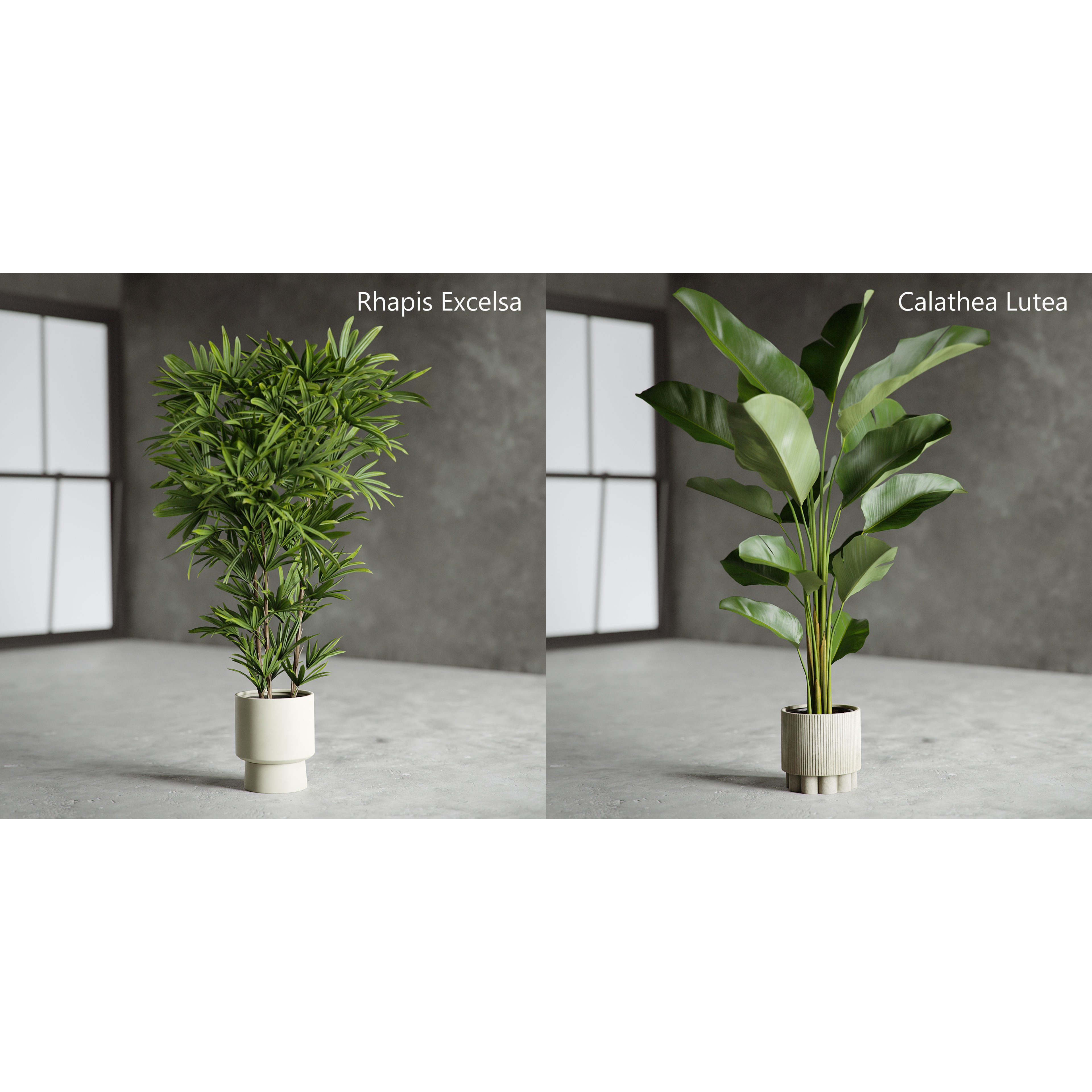 Plants Collection for Archviz 02 - Game-Ready 3D Model - View 6