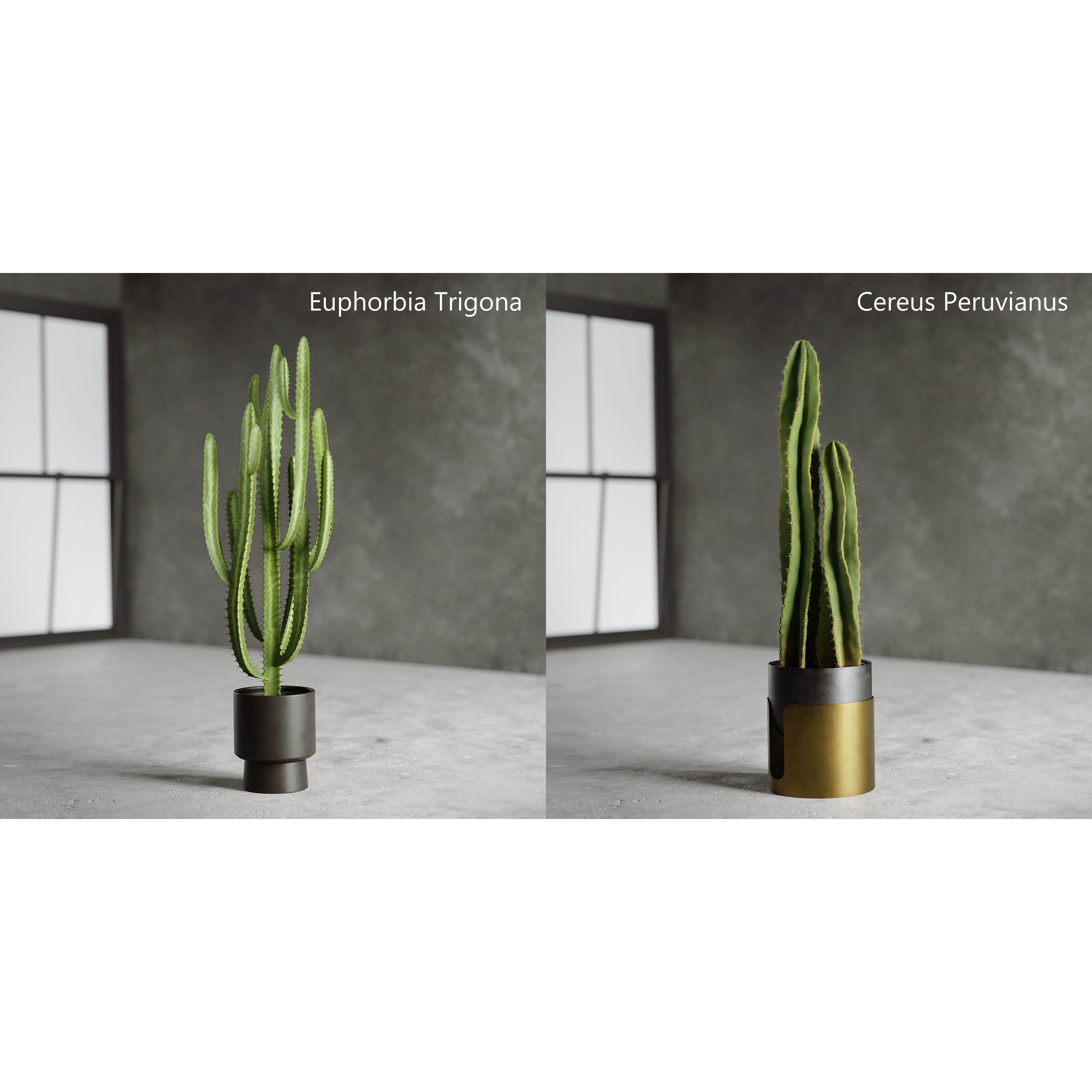 Plants Collection for Archviz 02 - Game-Ready 3D Model - View 7