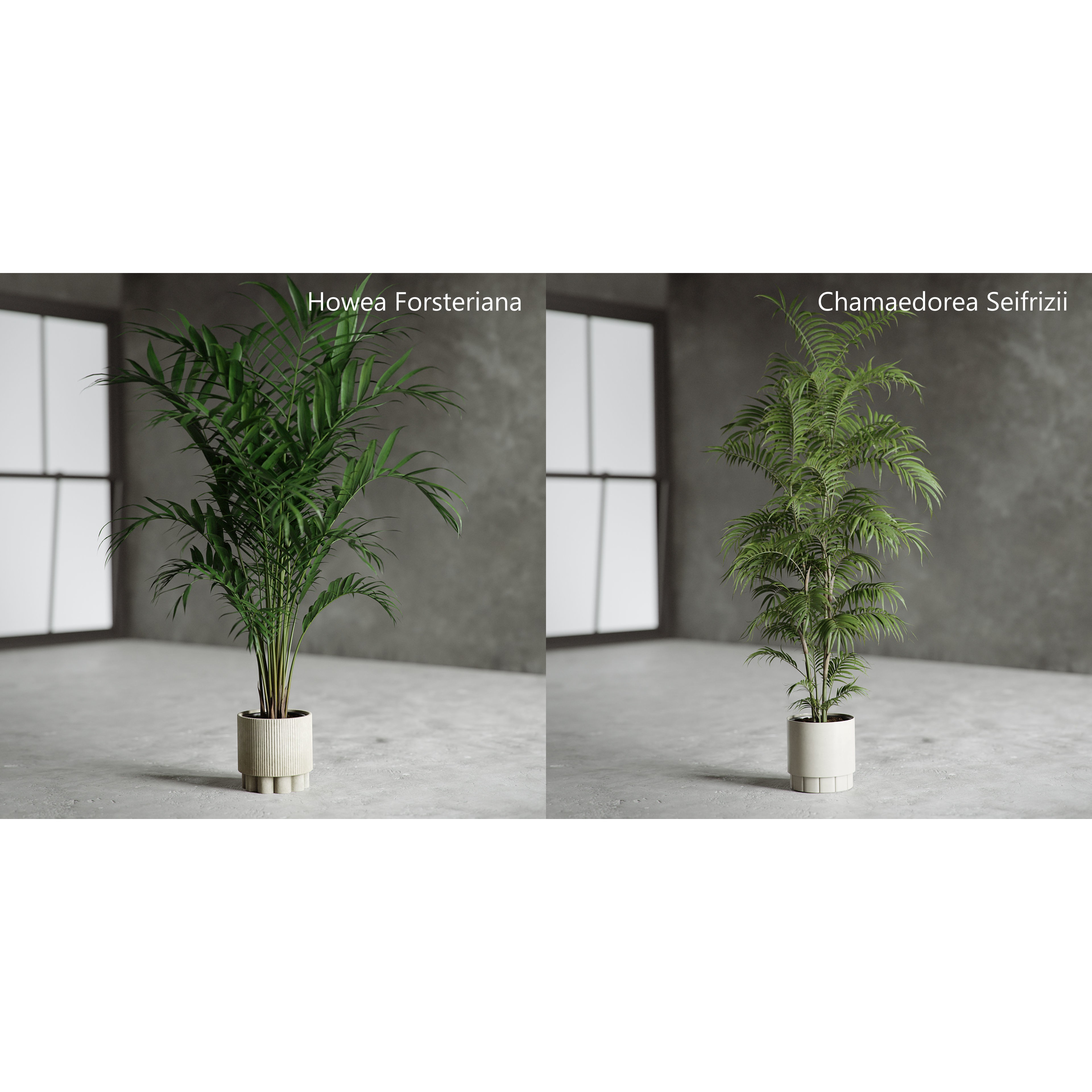 Plants Collection for Archviz 02 - Game-Ready 3D Model - View 9
