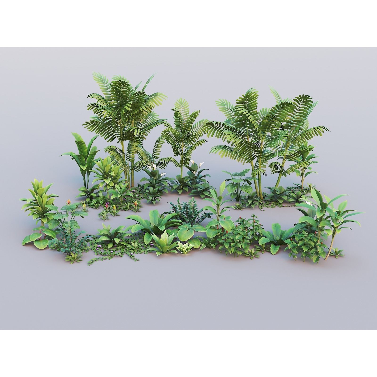 Tropical Plants Pack - Low-Poly Game-Ready 3D Model