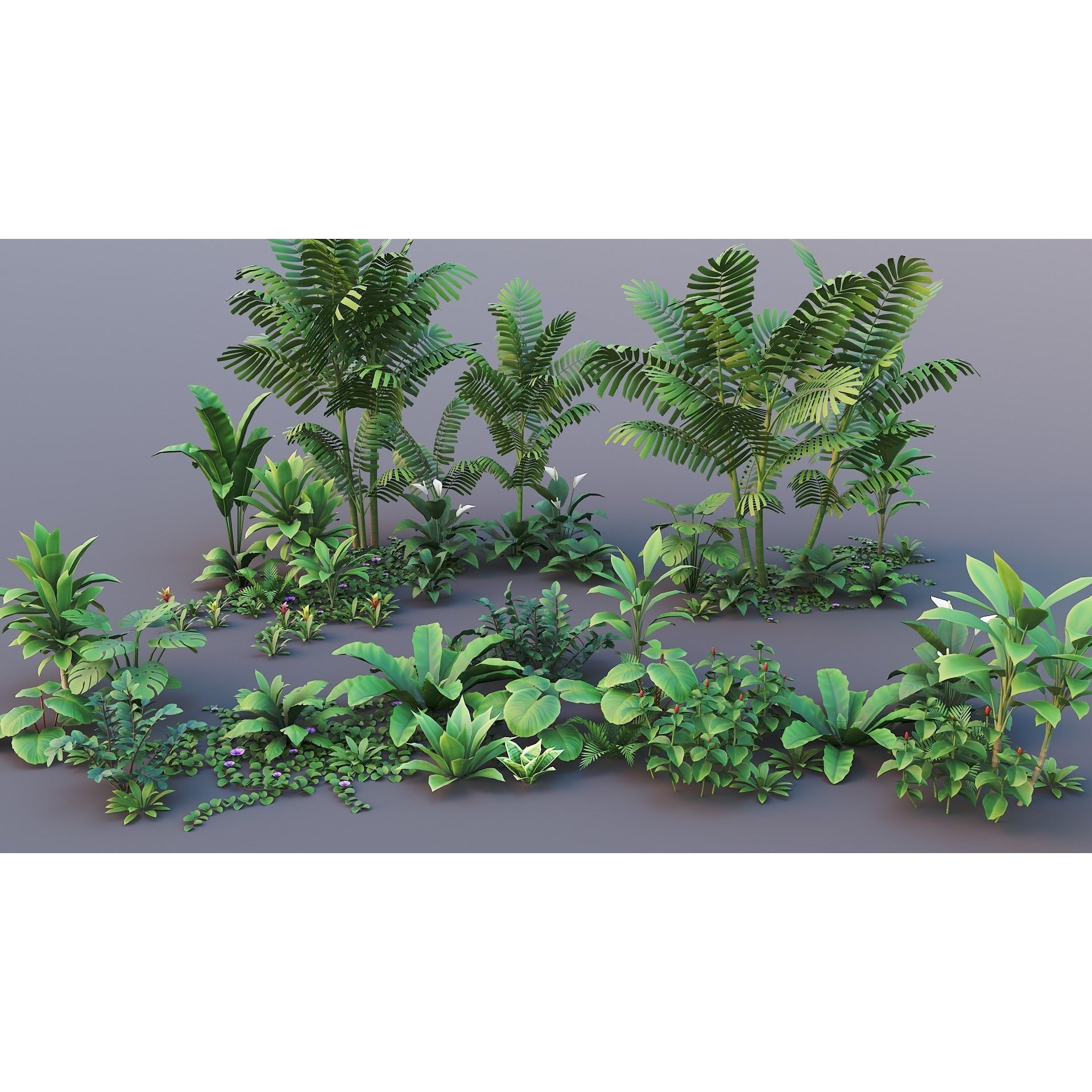 Tropical Plants Pack - Low-Poly Game-Ready 3D Model - View 10