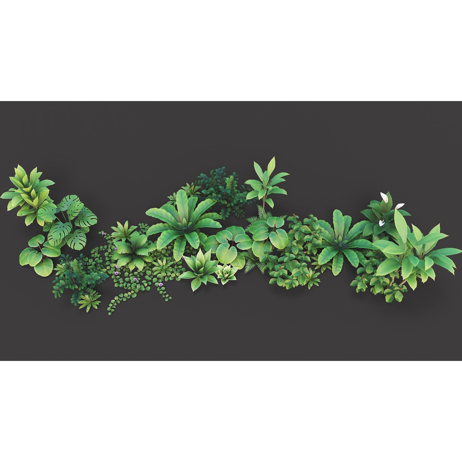 Tropical Plants Pack - Low-Poly Game-Ready 3D Model - View 11