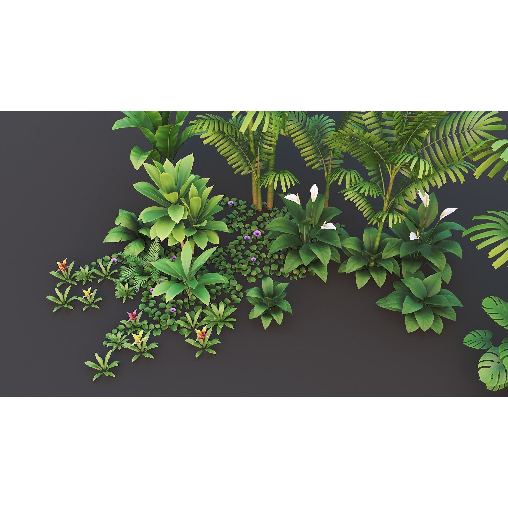 Tropical Plants Pack - Low-Poly Game-Ready 3D Model - View 12
