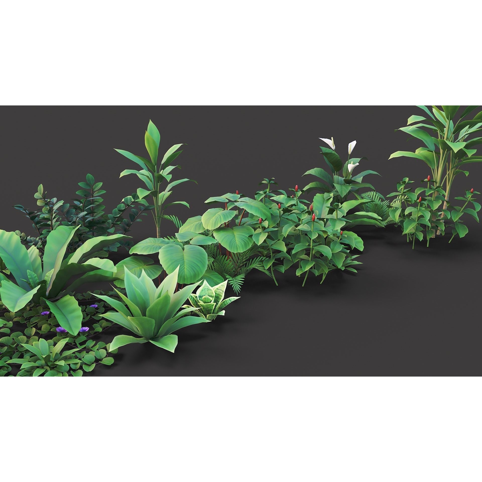 Tropical Plants Pack - Low-Poly Game-Ready 3D Model - View 13