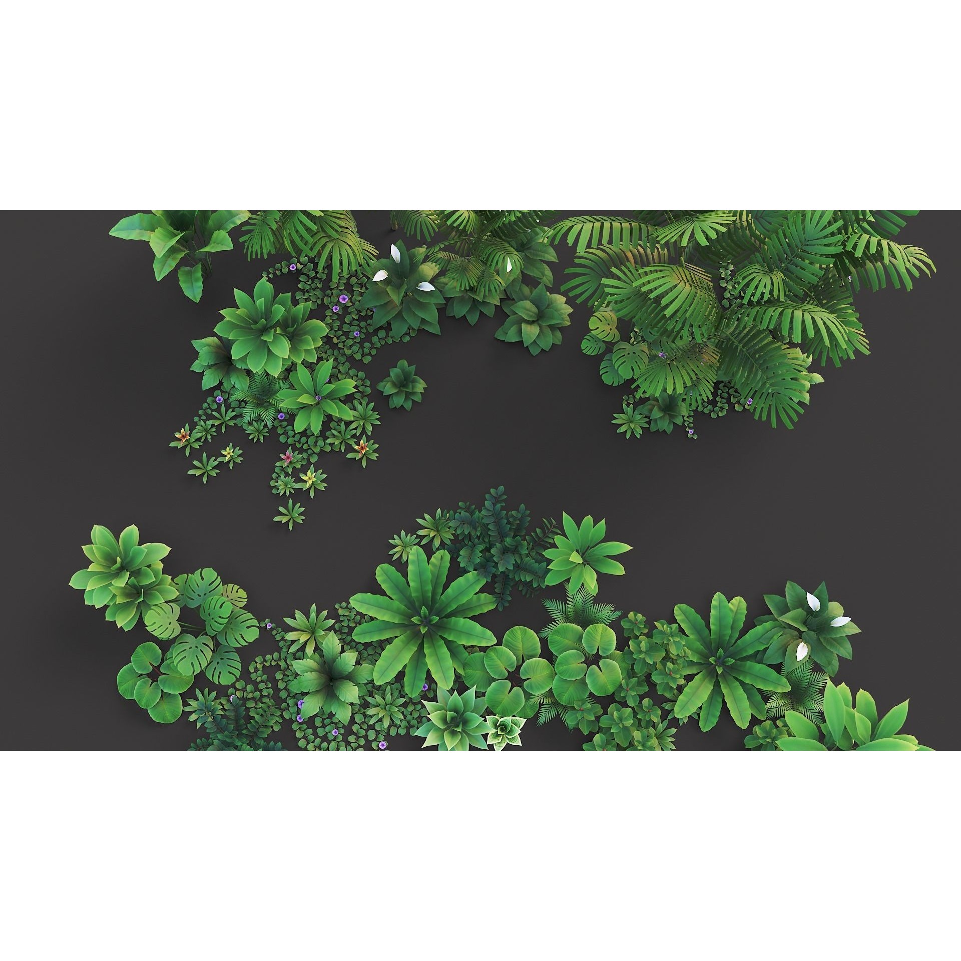 Tropical Plants Pack - Low-Poly Game-Ready 3D Model - View 14