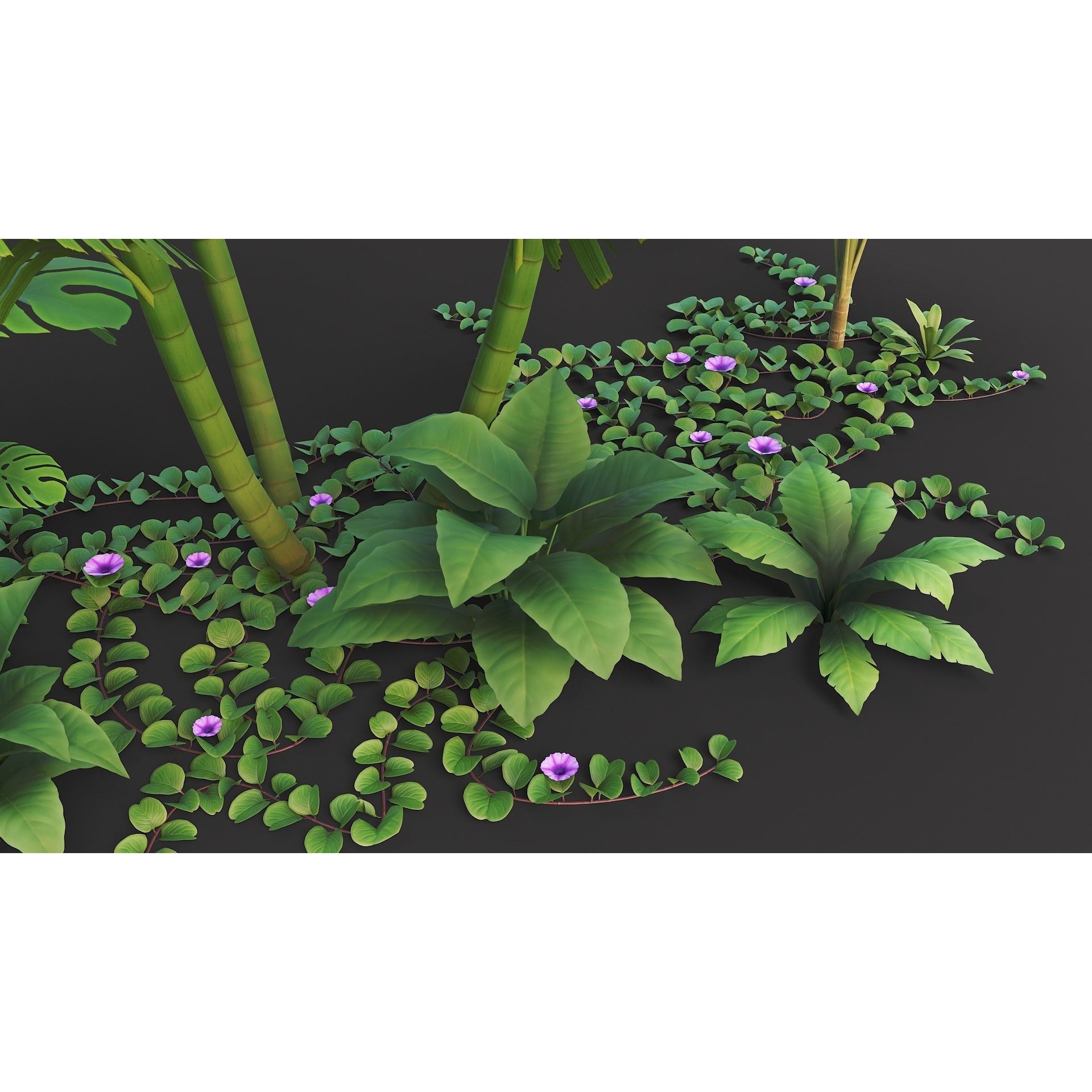 Tropical Plants Pack - Low-Poly Game-Ready 3D Model - View 15