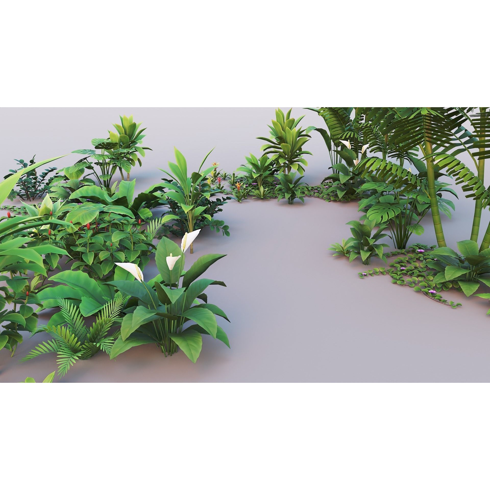 Tropical Plants Pack - Low-Poly Game-Ready 3D Model - View 16