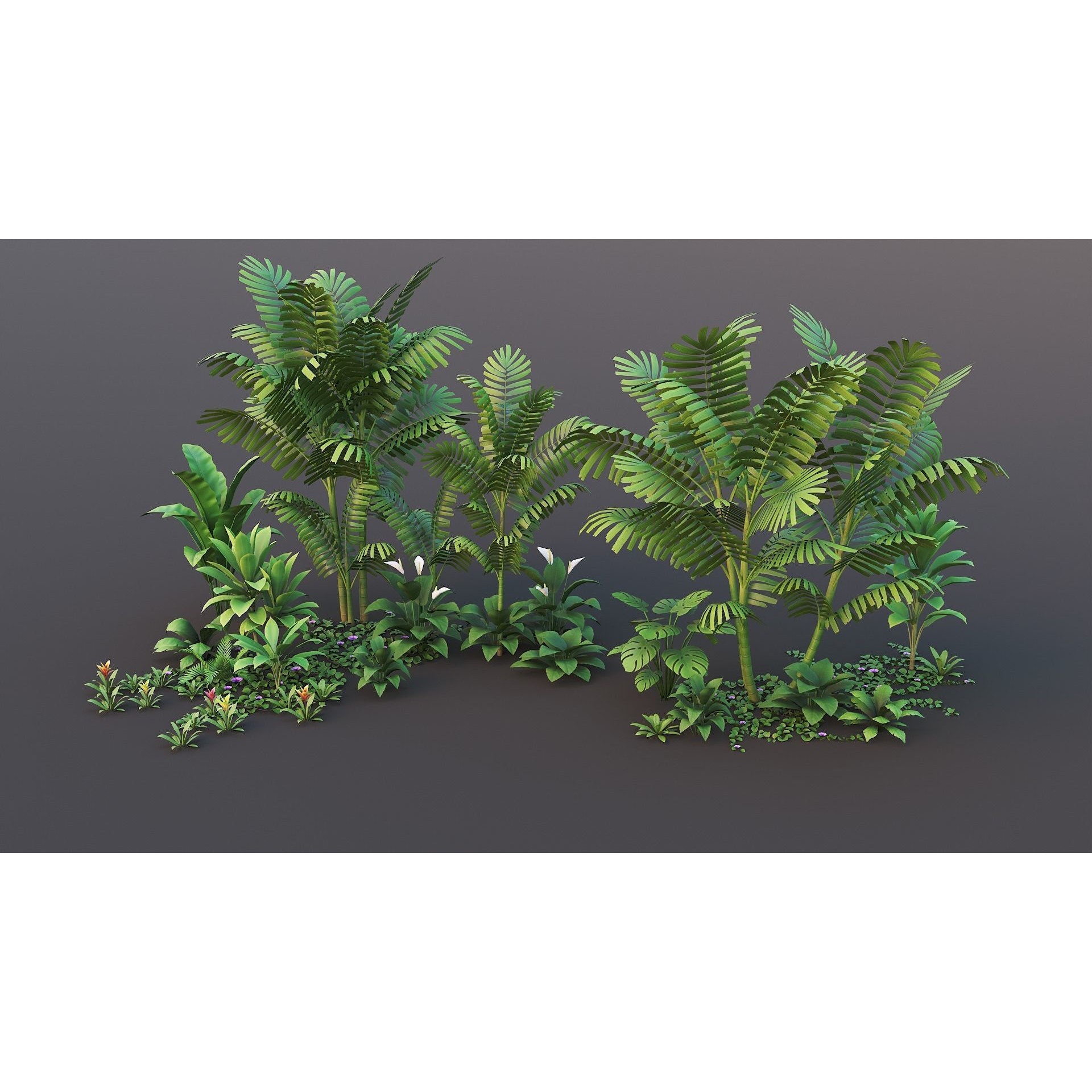 Tropical Plants Pack - Low-Poly Game-Ready 3D Model - View 17