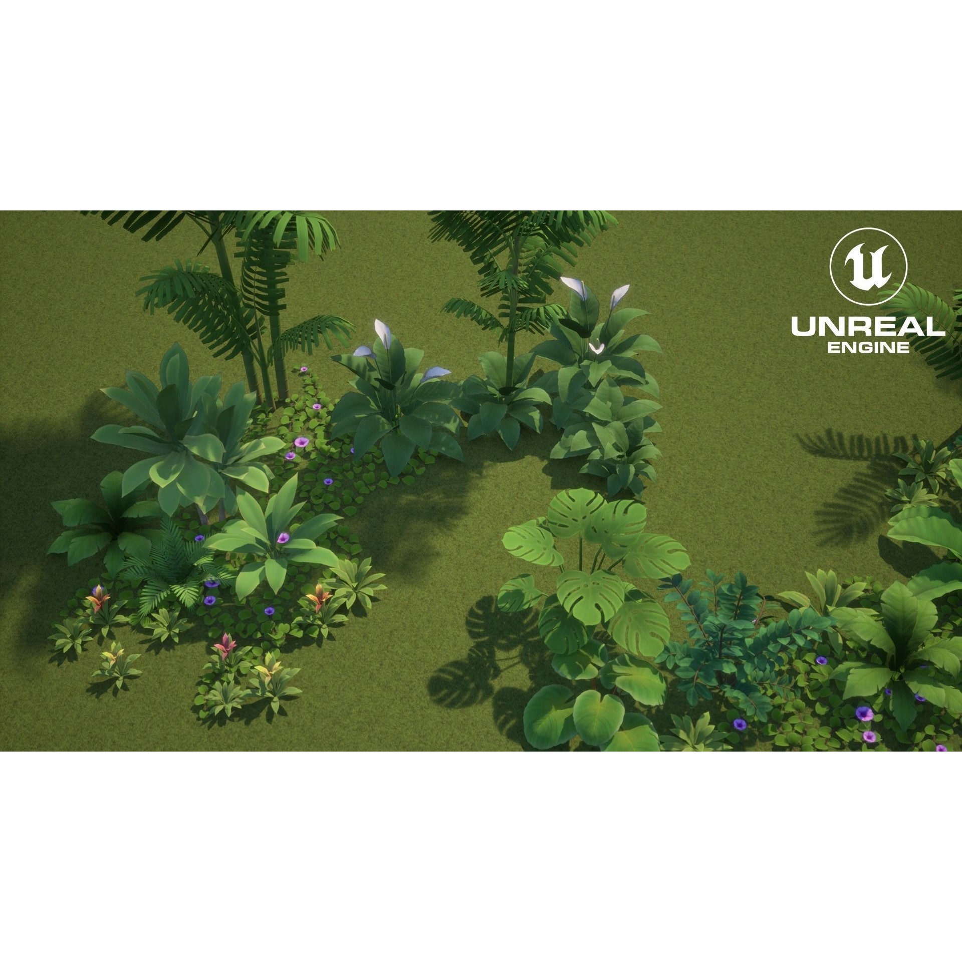 Tropical Plants Pack - Low-Poly Game-Ready 3D Model - View 18