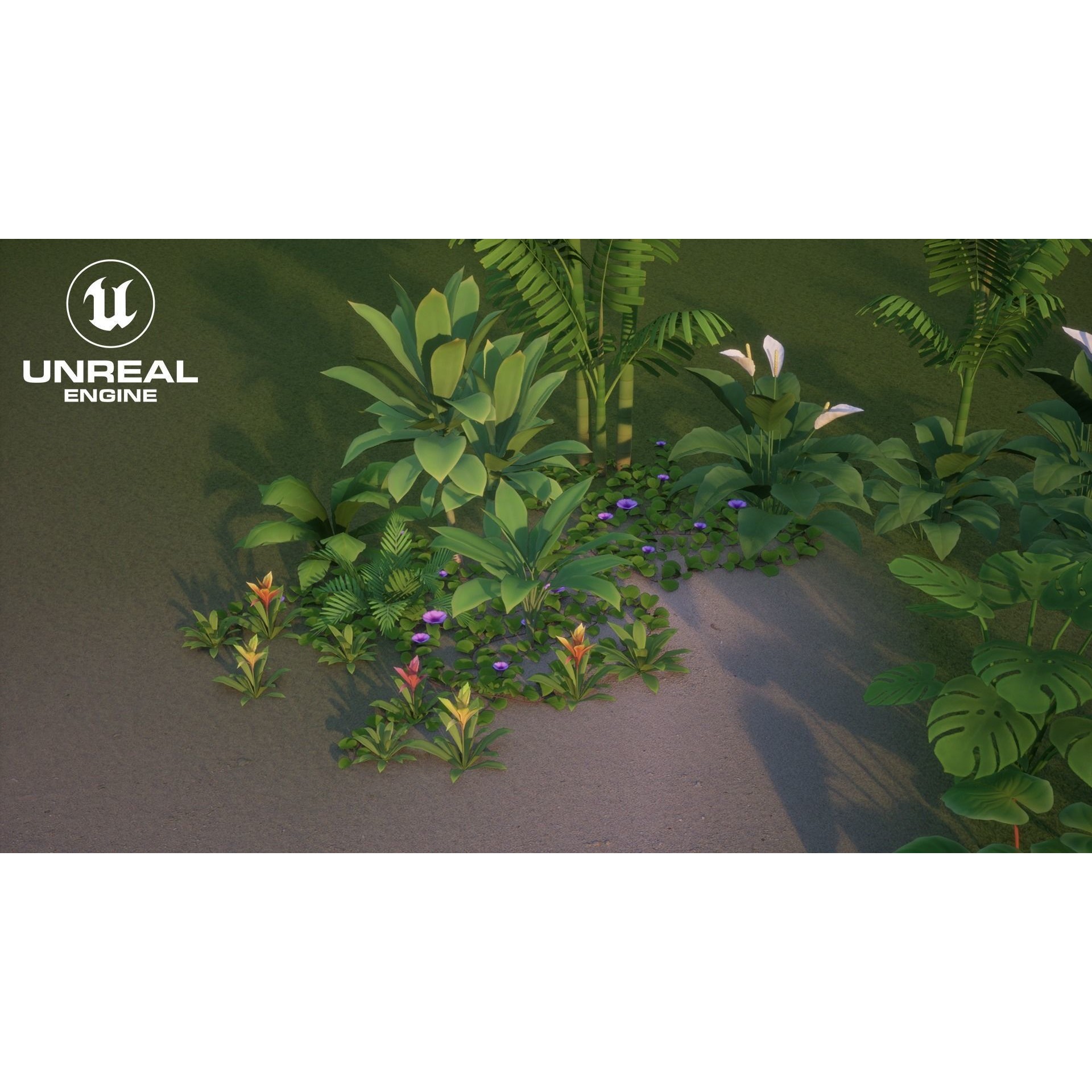 Tropical Plants Pack - Low-Poly Game-Ready 3D Model - View 19