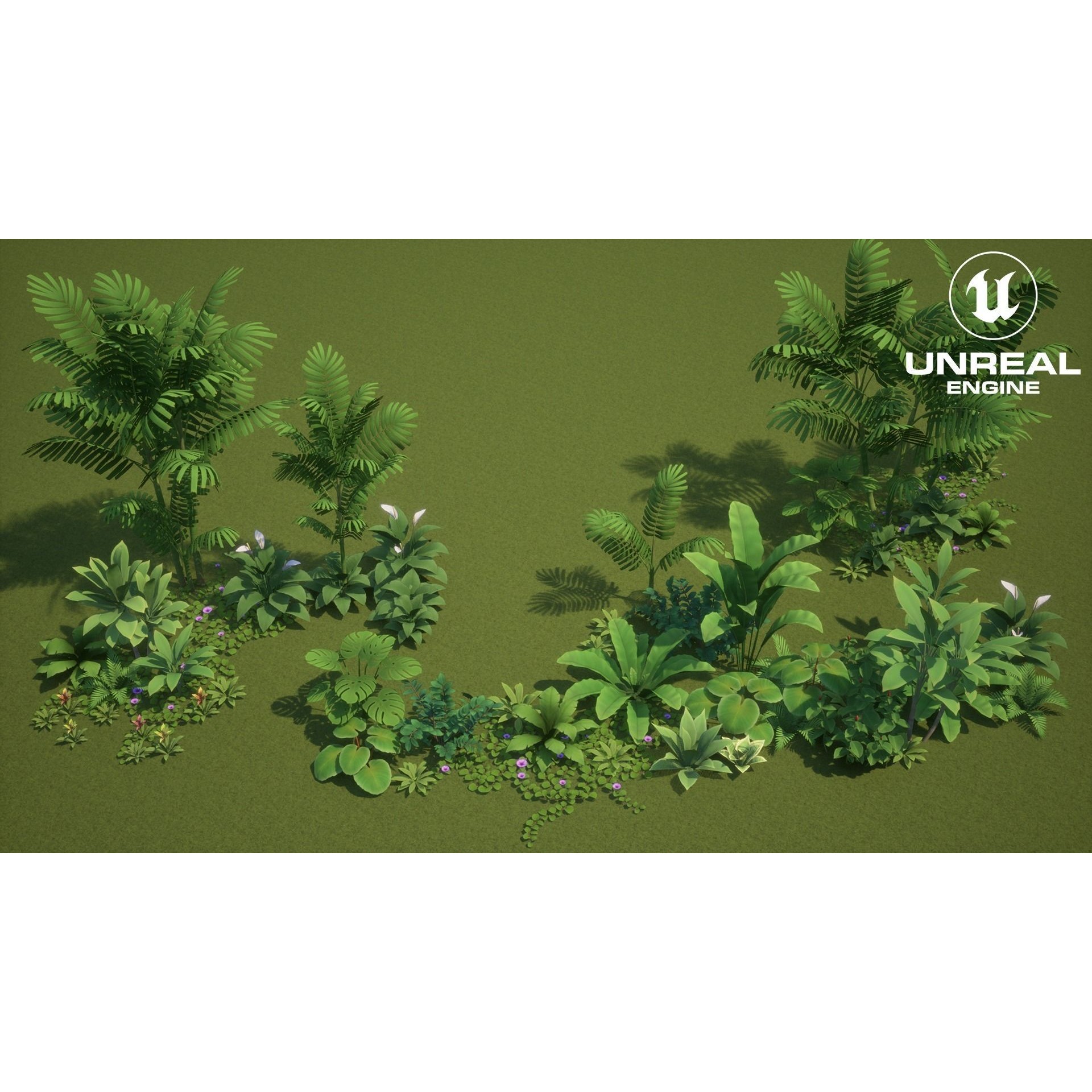 Tropical Plants Pack - Low-Poly Game-Ready 3D Model - View 20