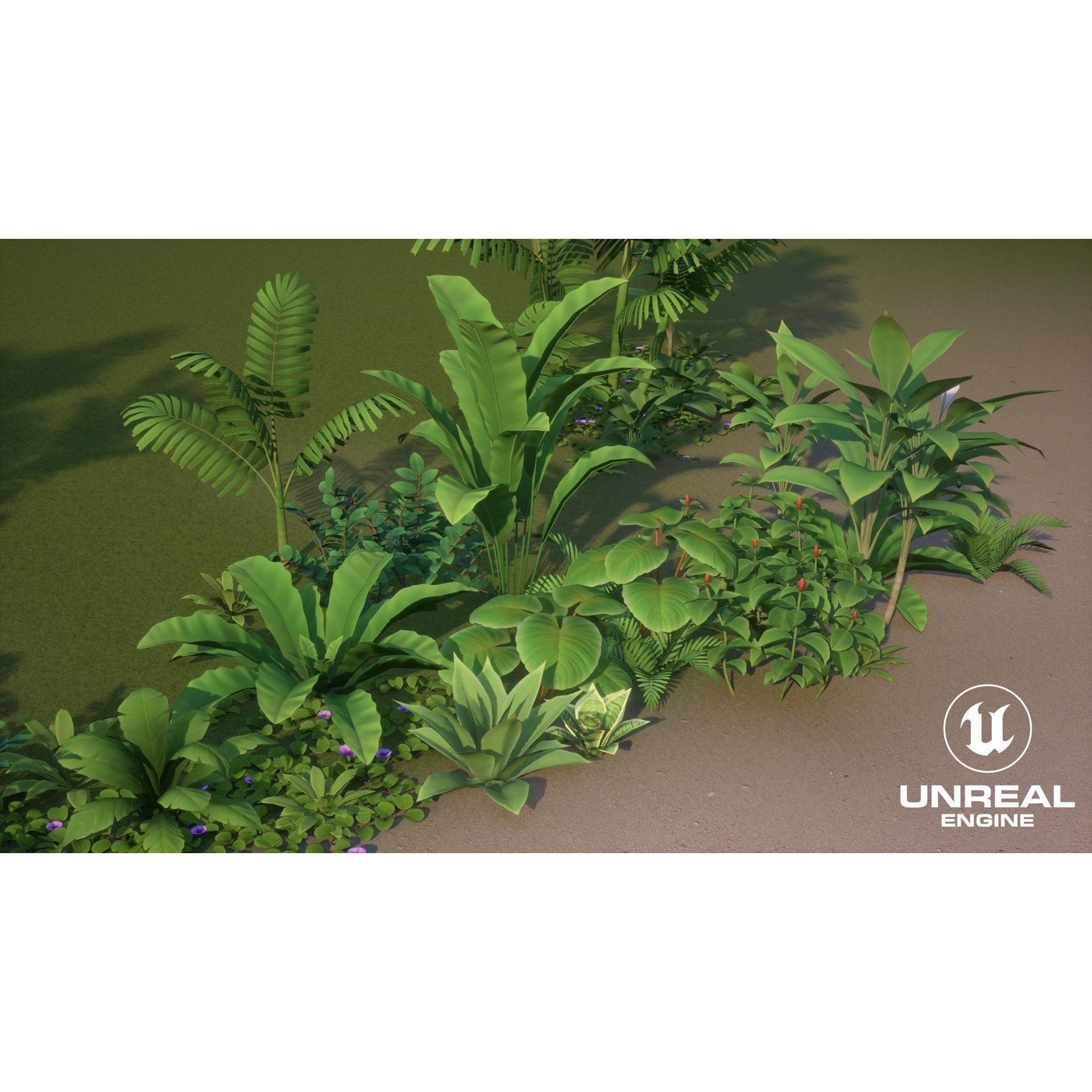 Tropical Plants Pack - Low-Poly Game-Ready 3D Model - View 21