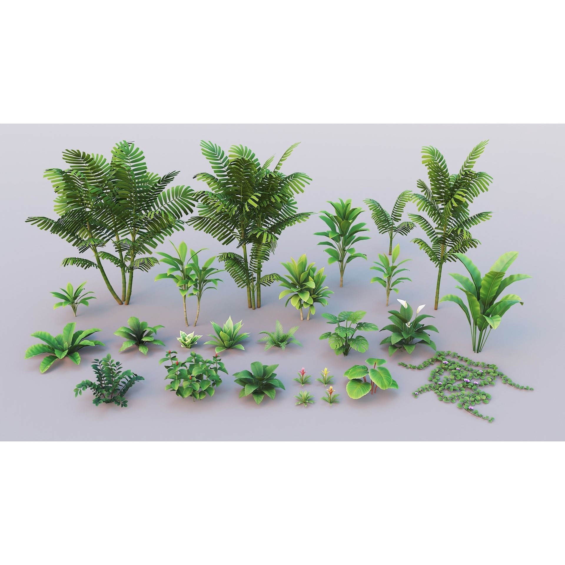 Tropical Plants Pack - Low-Poly Game-Ready 3D Model - View 22