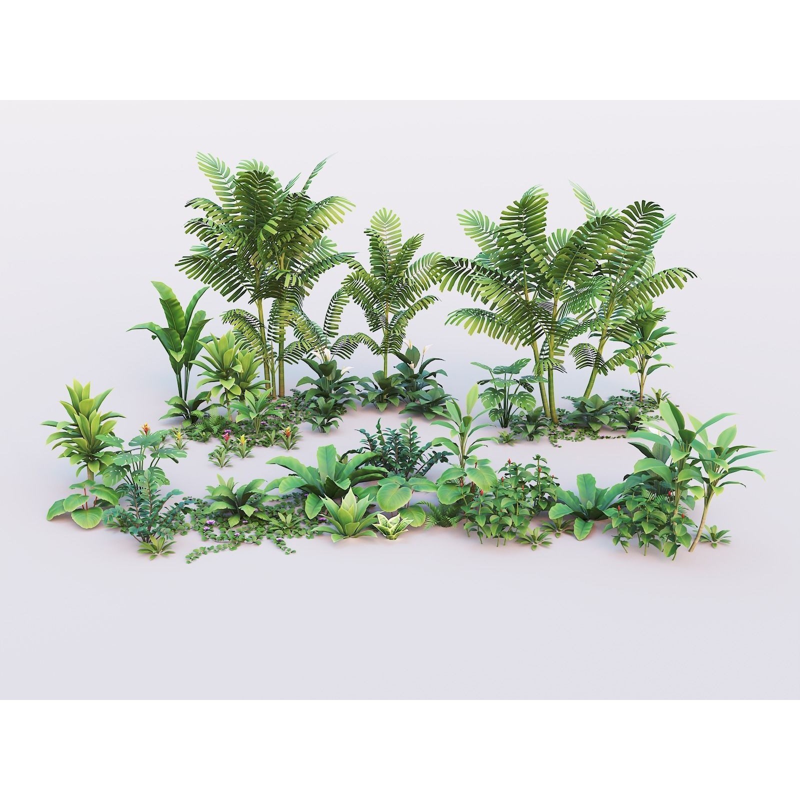 Tropical Plants Pack - Low-Poly Game-Ready 3D Model - View 3