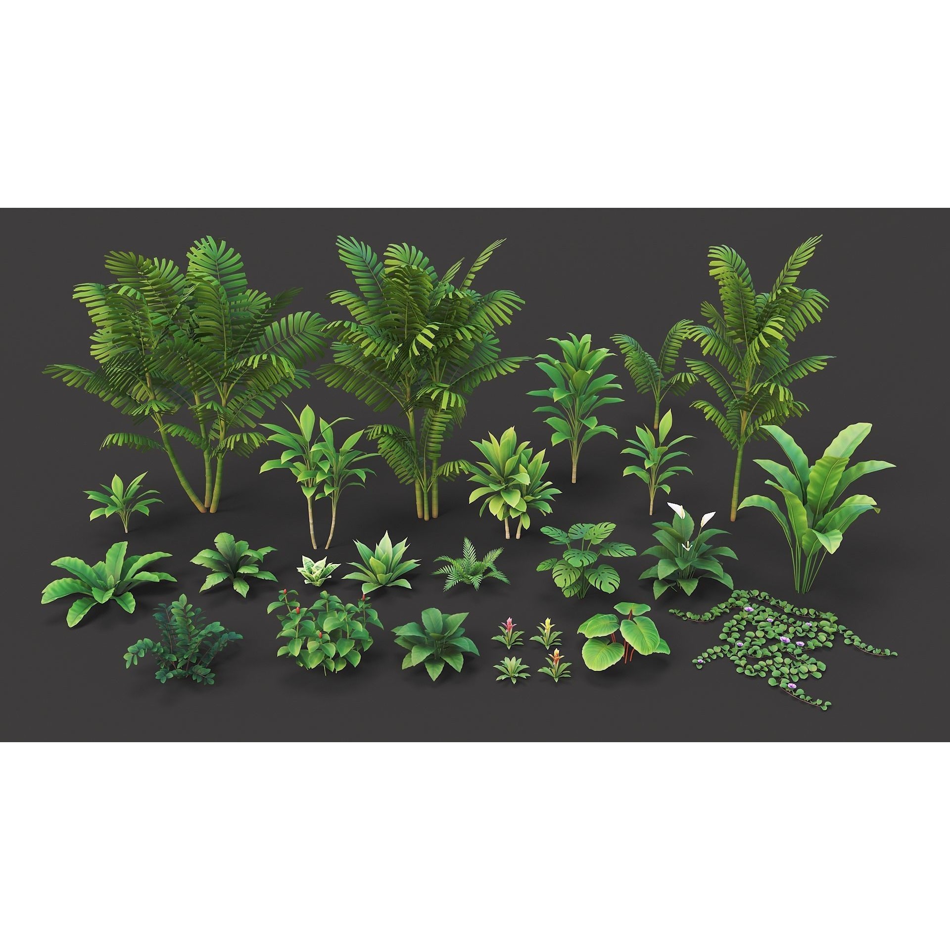 Tropical Plants Pack - Low-Poly Game-Ready 3D Model - View 4