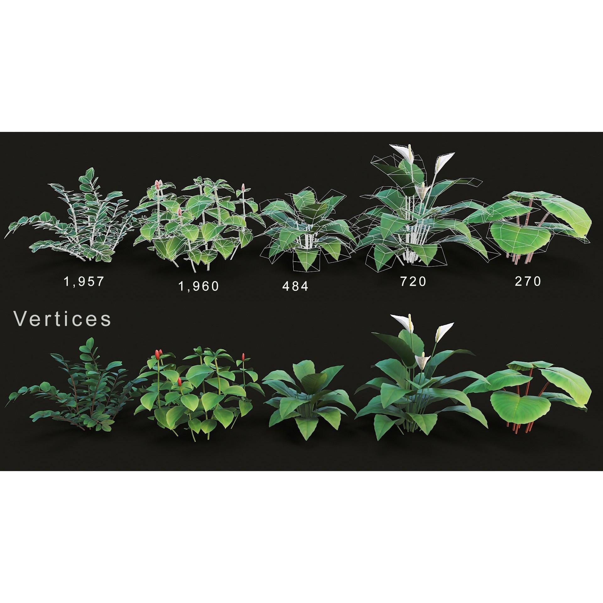Tropical Plants Pack - Low-Poly Game-Ready 3D Model - View 5