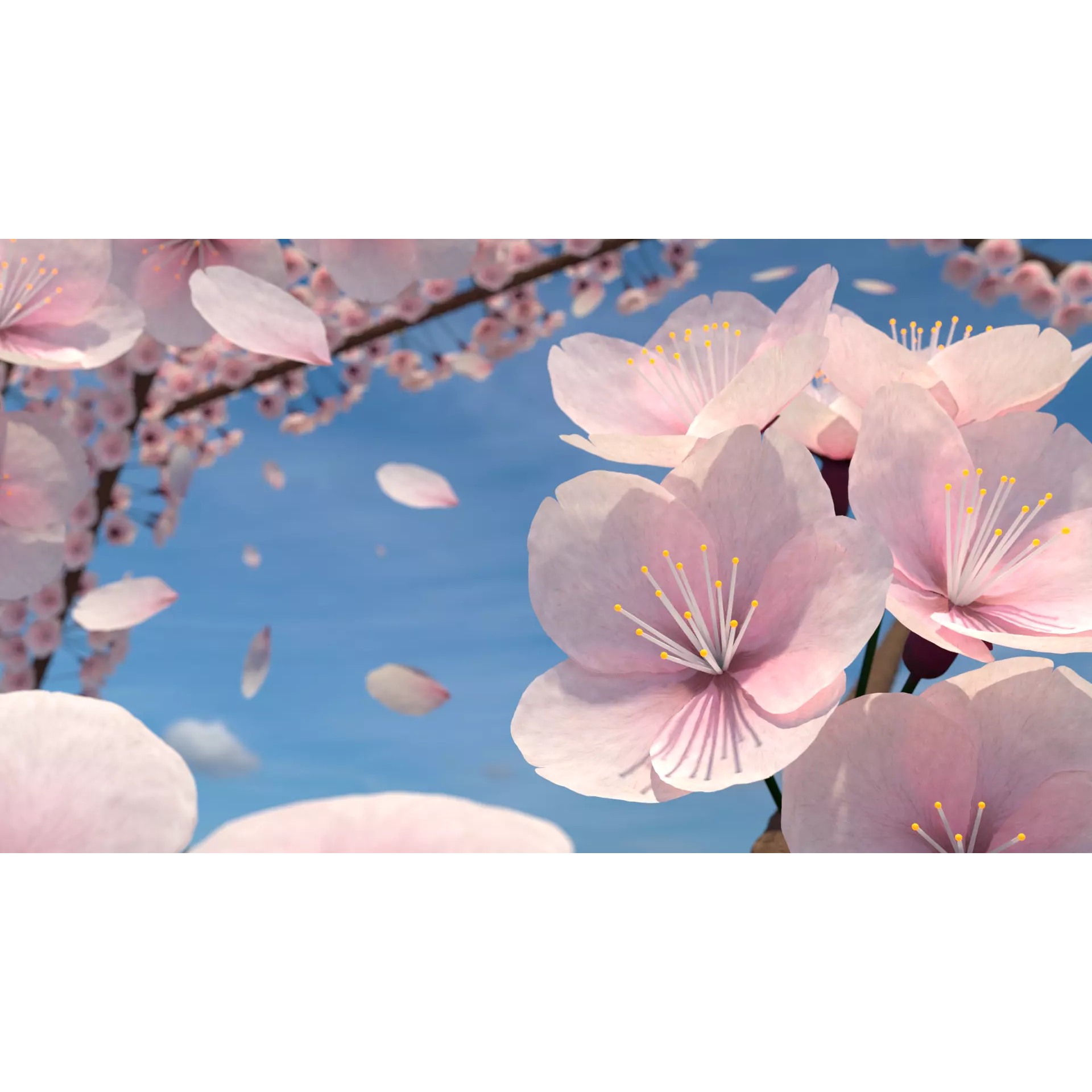 Cherry Blossom Scene - PBR Game-Ready 3D Model - View 2