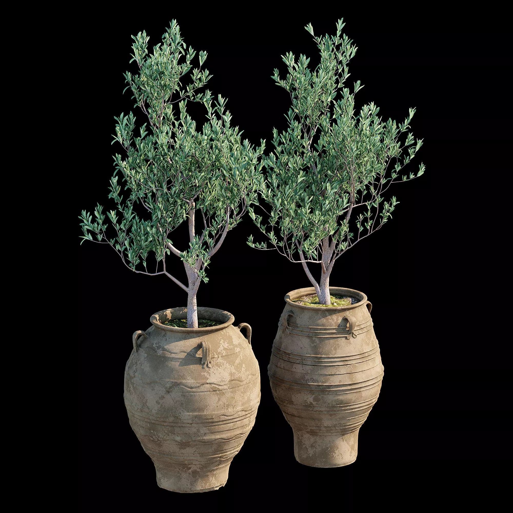 Bala Urn - Game-Ready 3D Model - View 11
