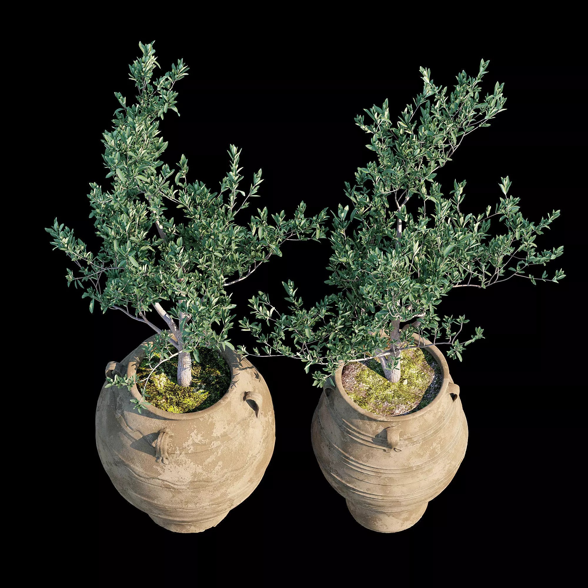 Bala Urn - Game-Ready 3D Model - View 13