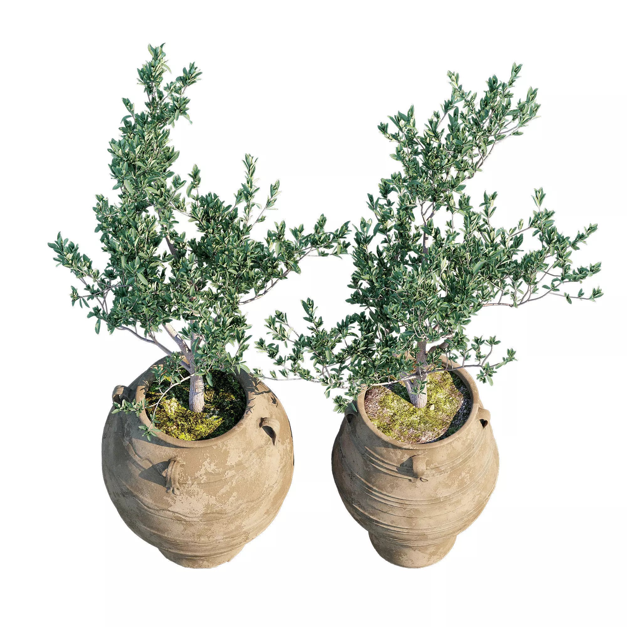 Bala Urn - Game-Ready 3D Model - View 5