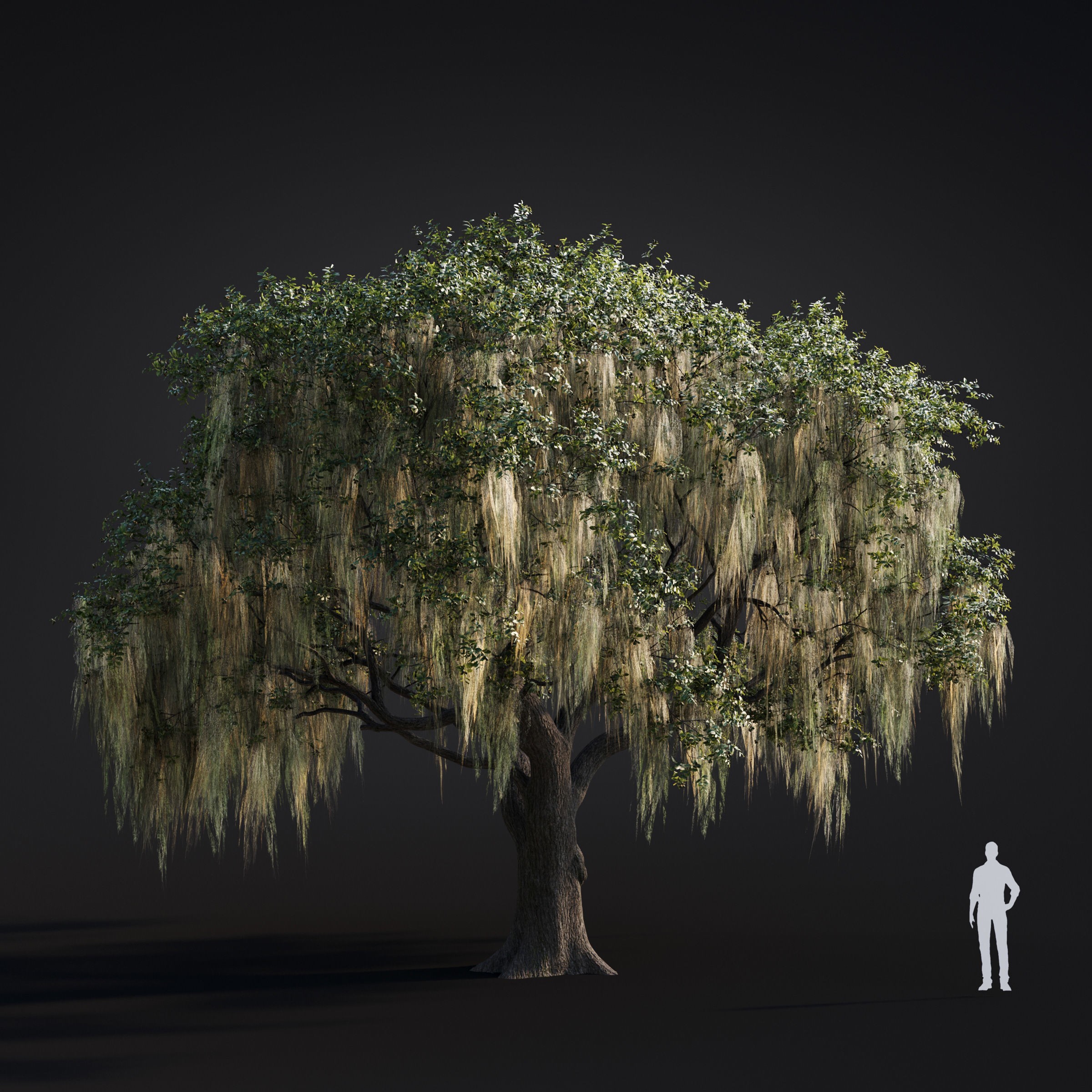 Spring Trees Collection - Game-Ready 3D Model