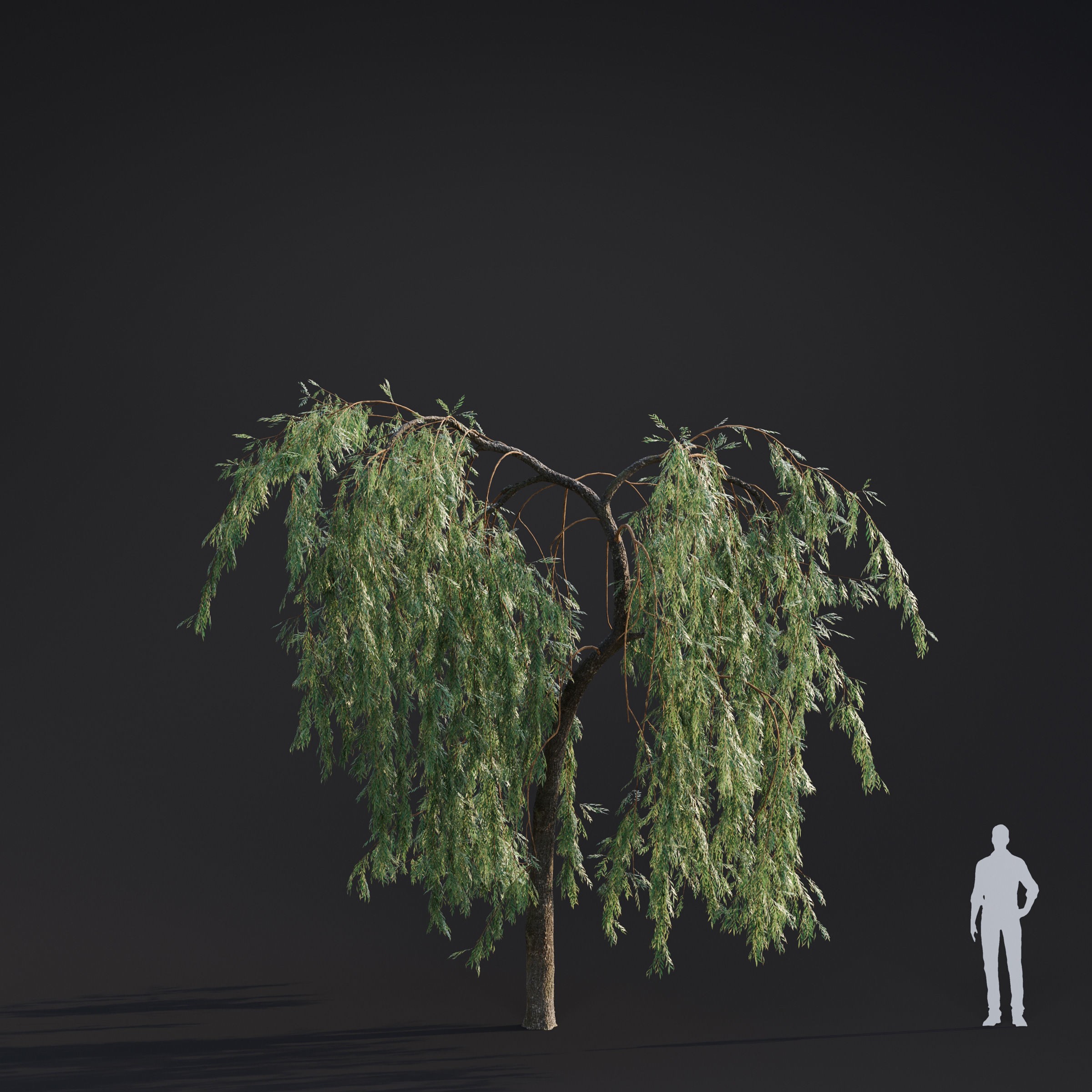 Spring Trees Collection - Game-Ready 3D Model - View 19