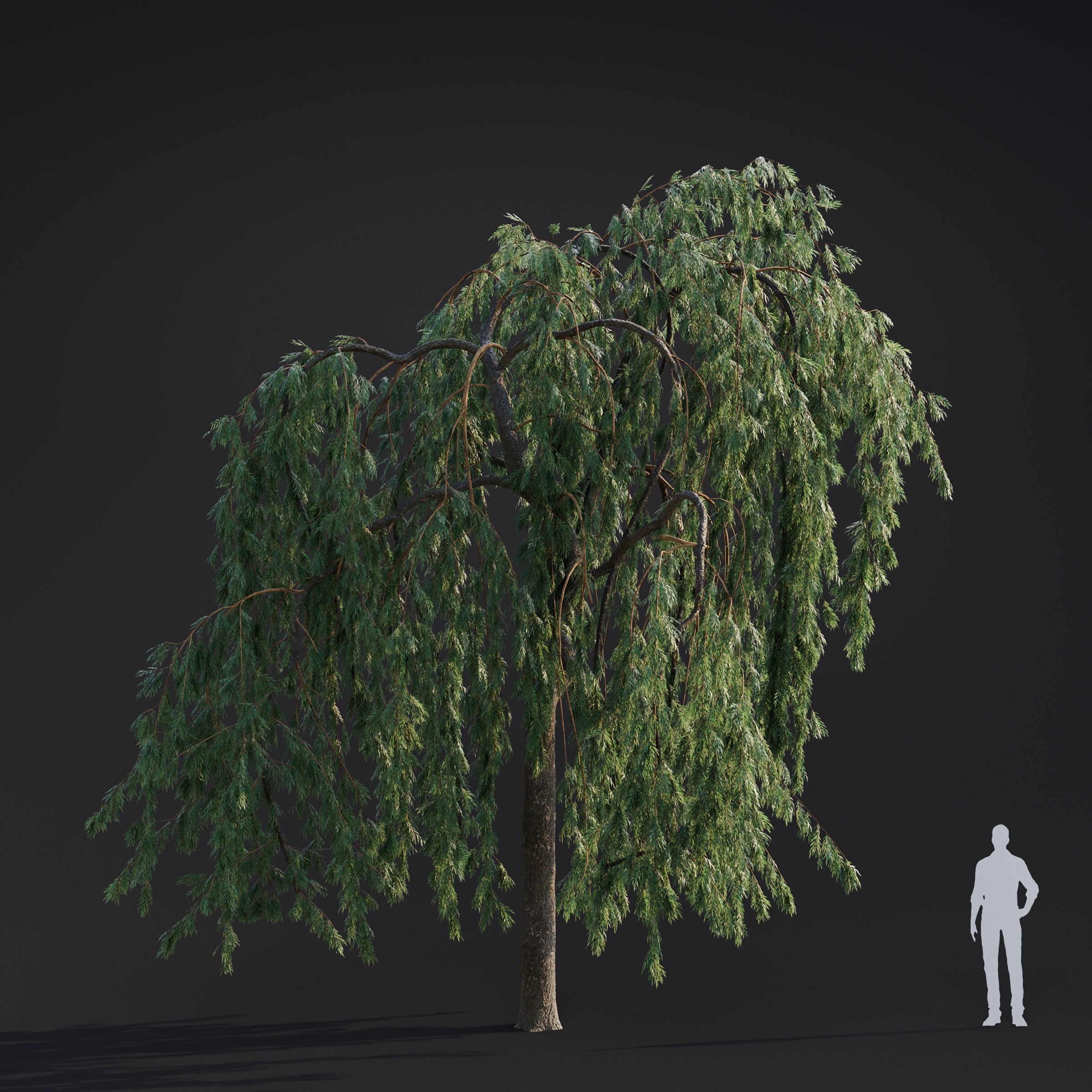 Spring Trees Collection - Game-Ready 3D Model - View 20