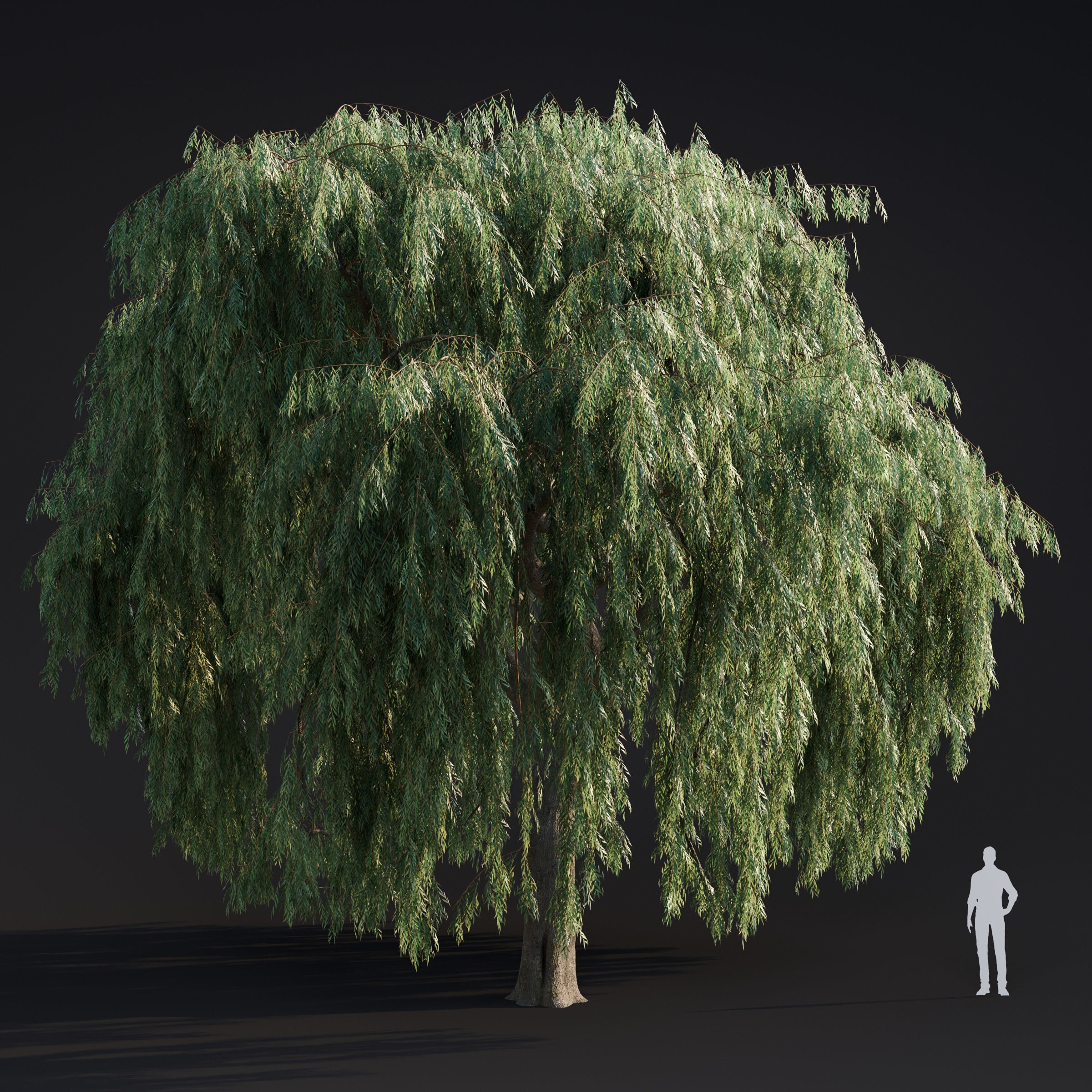 Spring Trees Collection - Game-Ready 3D Model - View 21