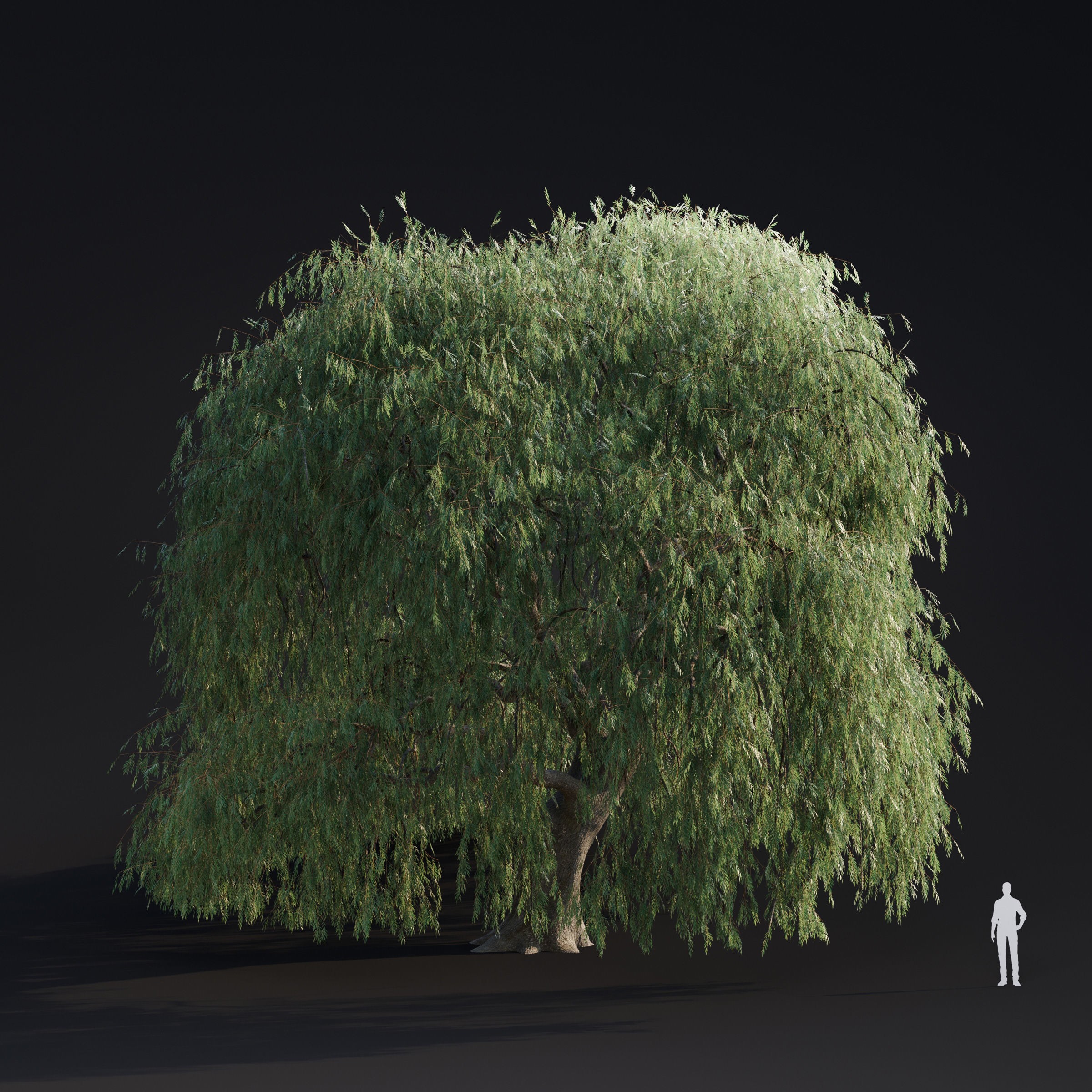 Spring Trees Collection - Game-Ready 3D Model - View 22