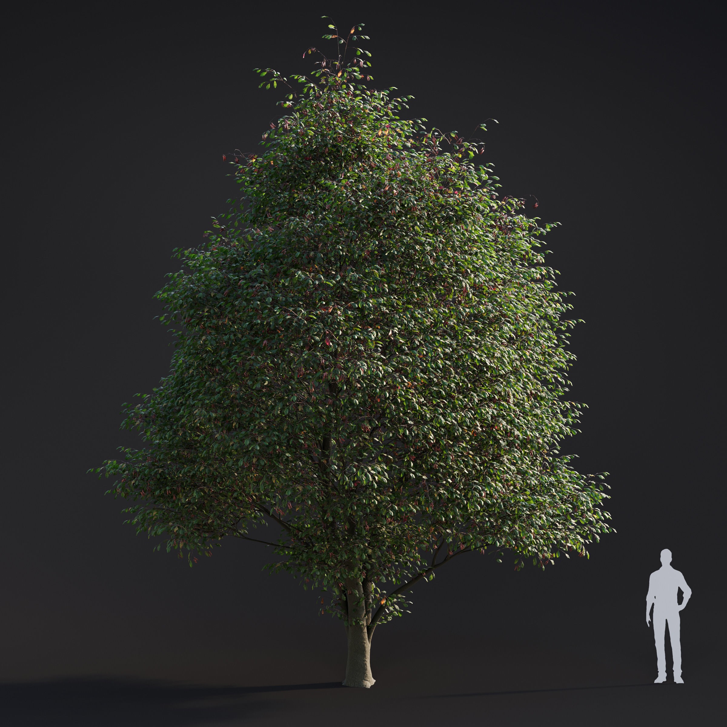 Spring Trees Collection - Game-Ready 3D Model - View 3