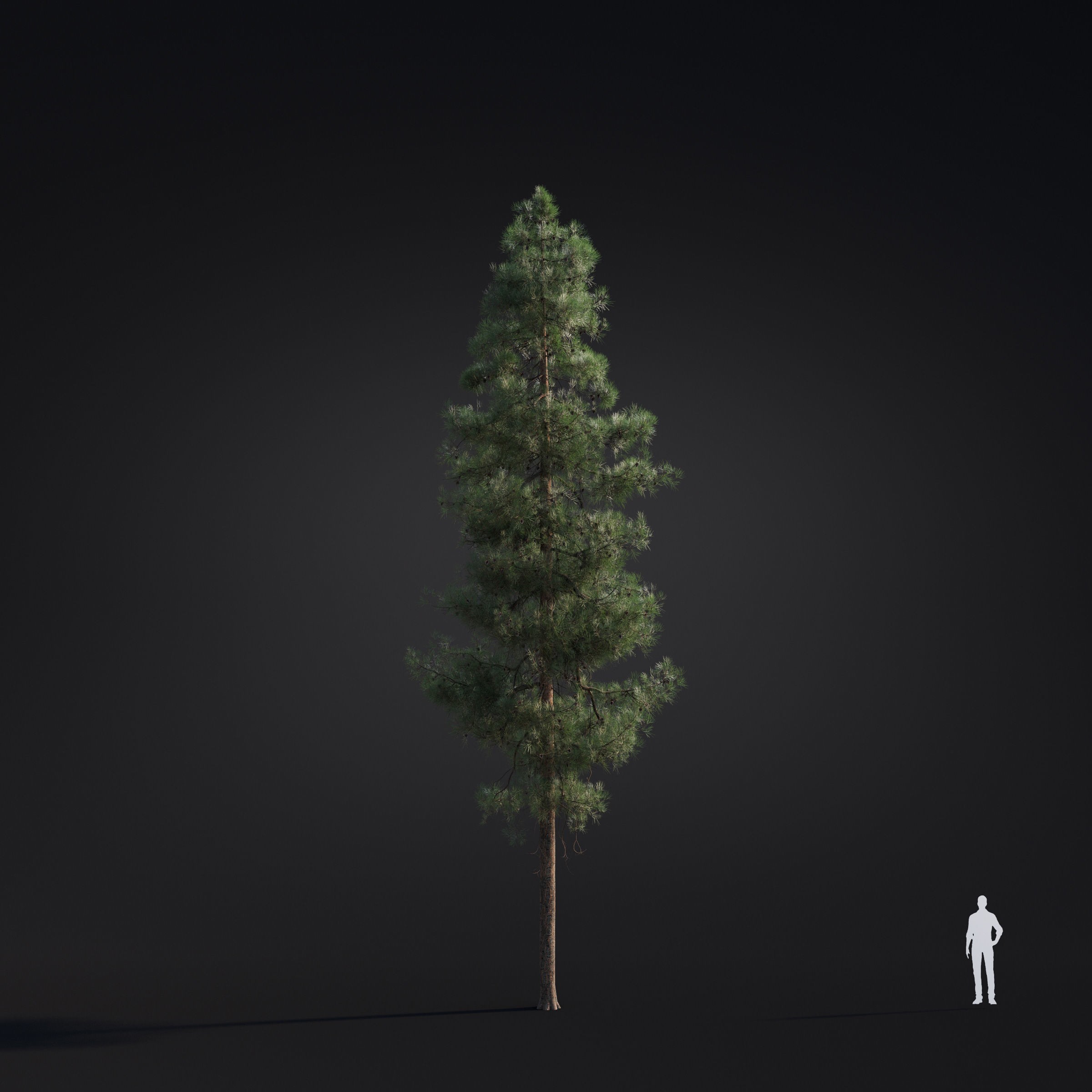 Spring Trees Collection - Game-Ready 3D Model - View 31