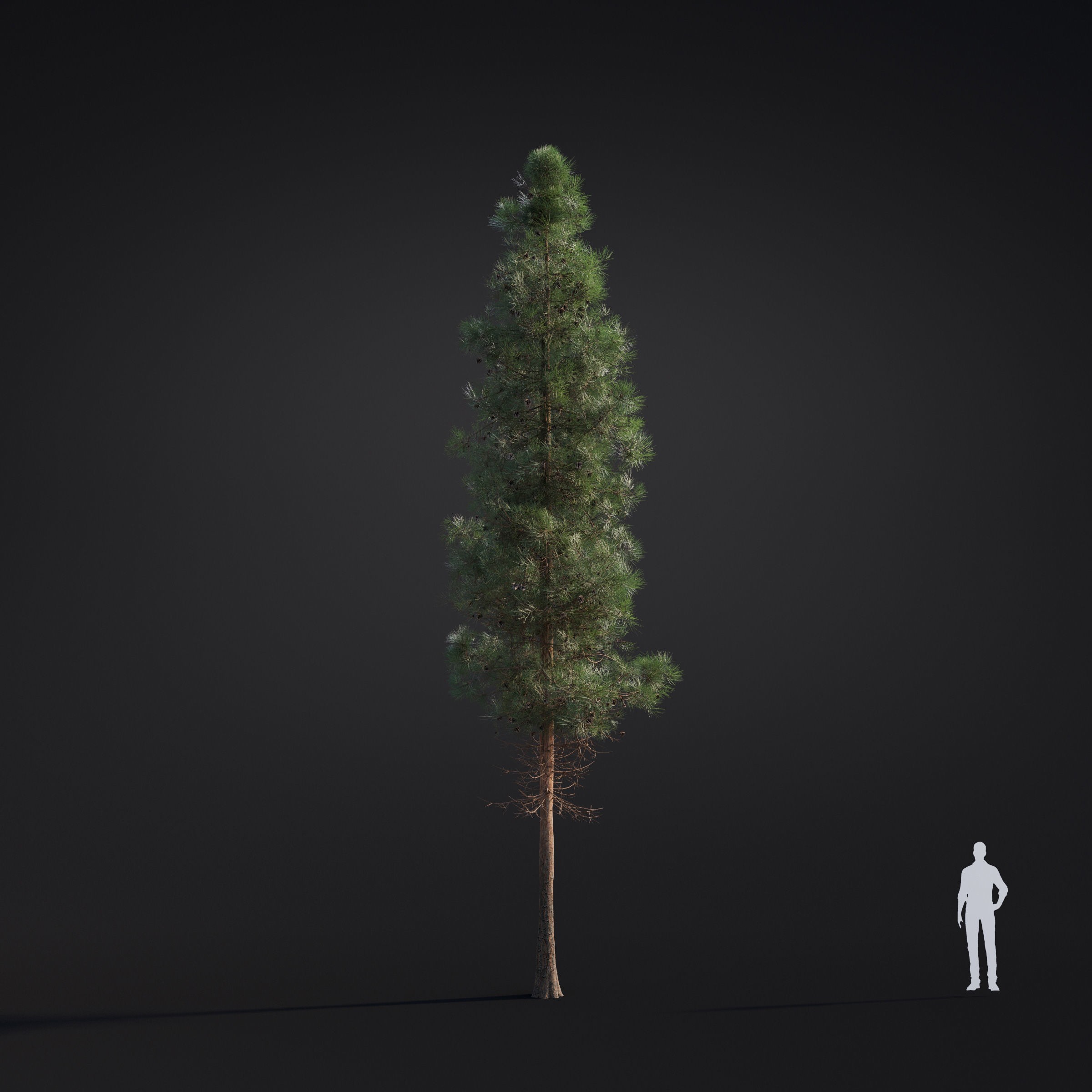 Spring Trees Collection - Game-Ready 3D Model - View 32