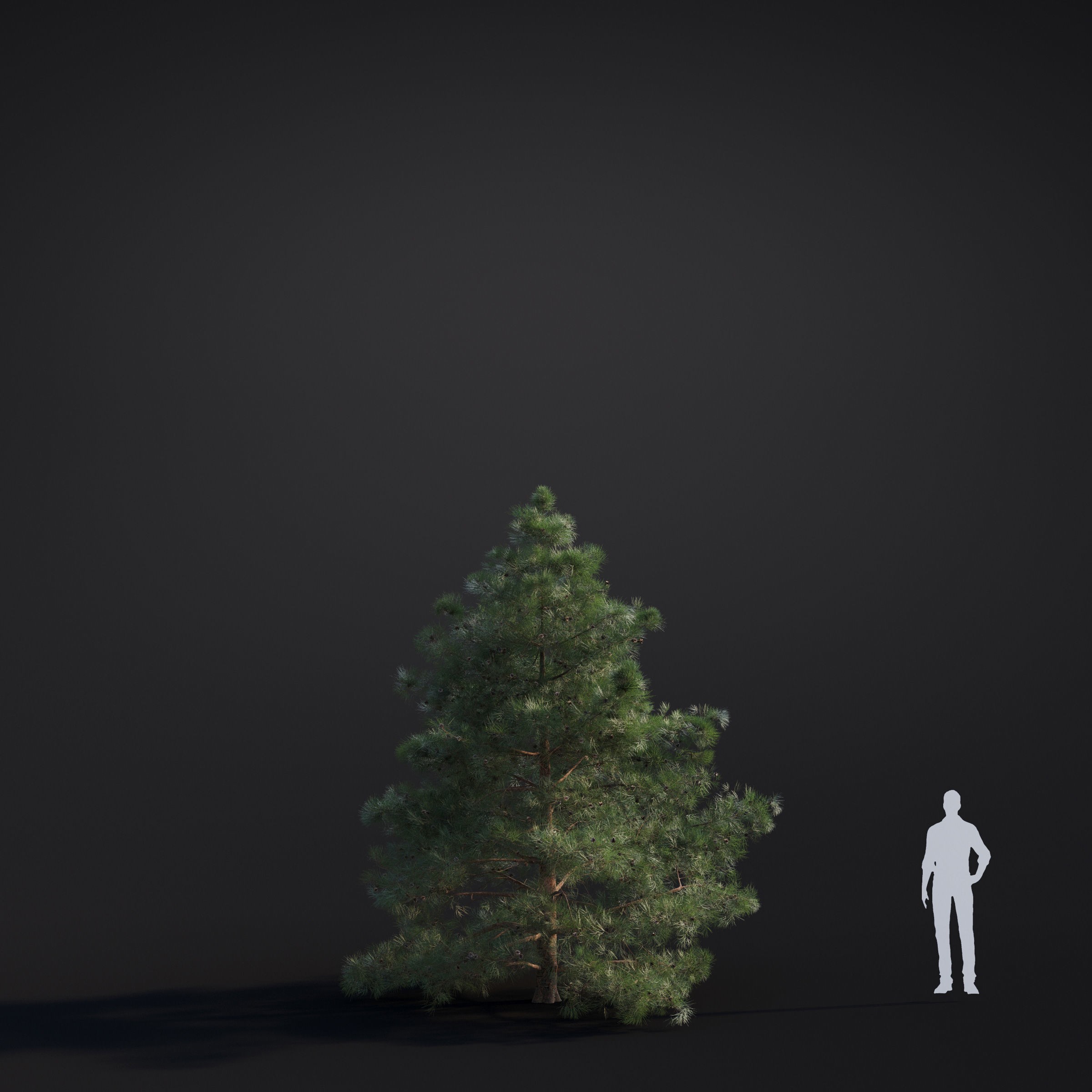 Spring Trees Collection - Game-Ready 3D Model - View 34