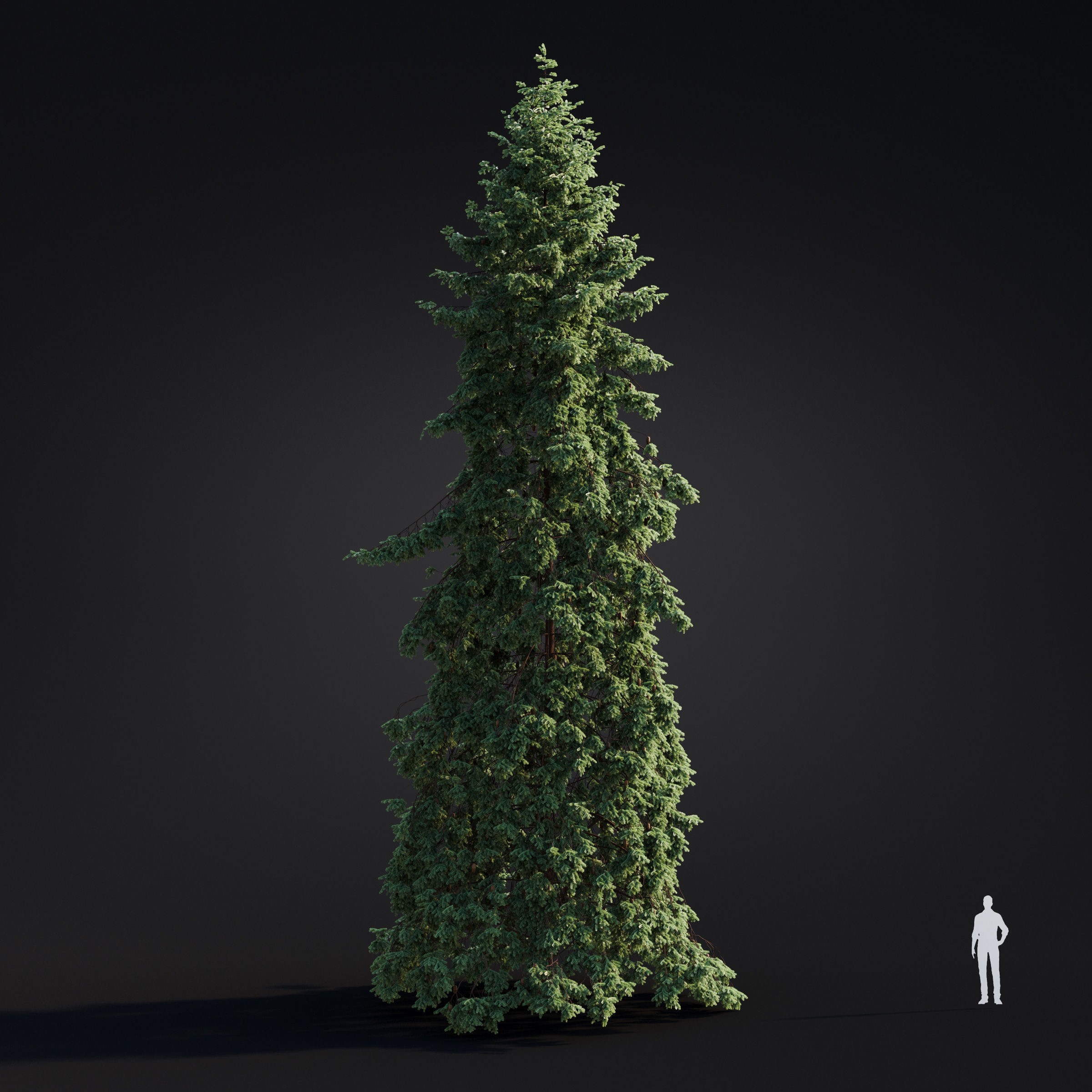 Spring Trees Collection - Game-Ready 3D Model - View 35
