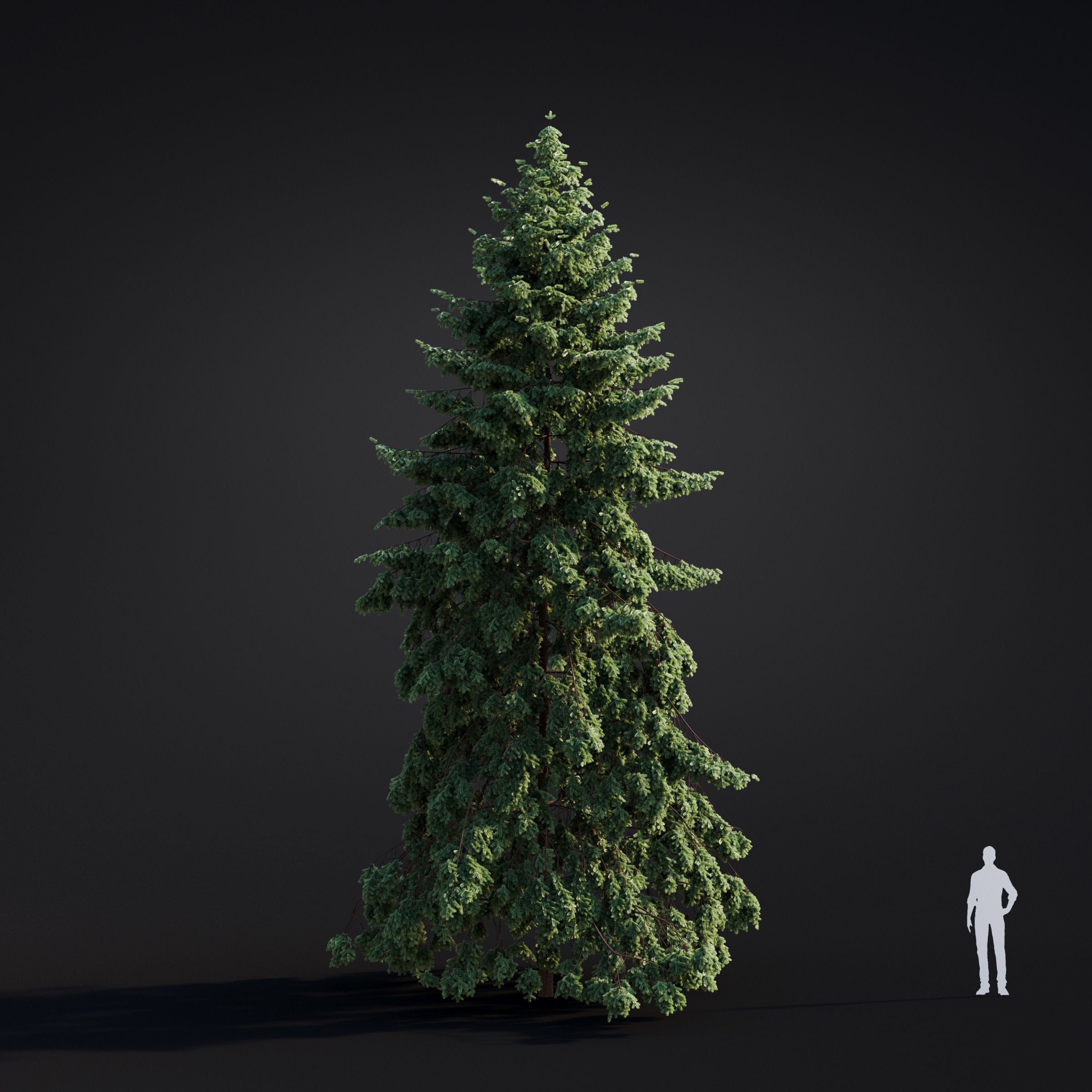 Spring Trees Collection - Game-Ready 3D Model - View 36
