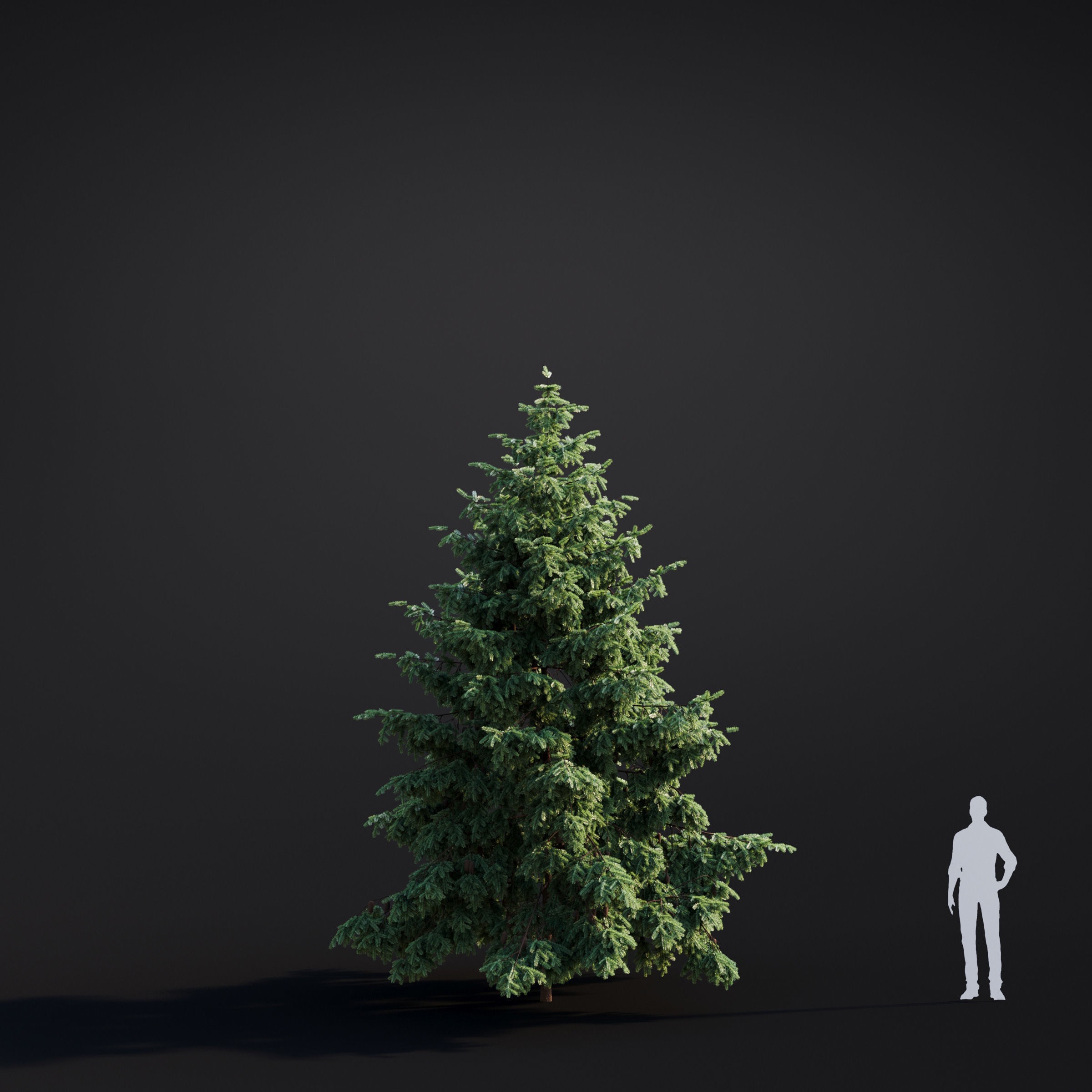 Spring Trees Collection - Game-Ready 3D Model - View 37