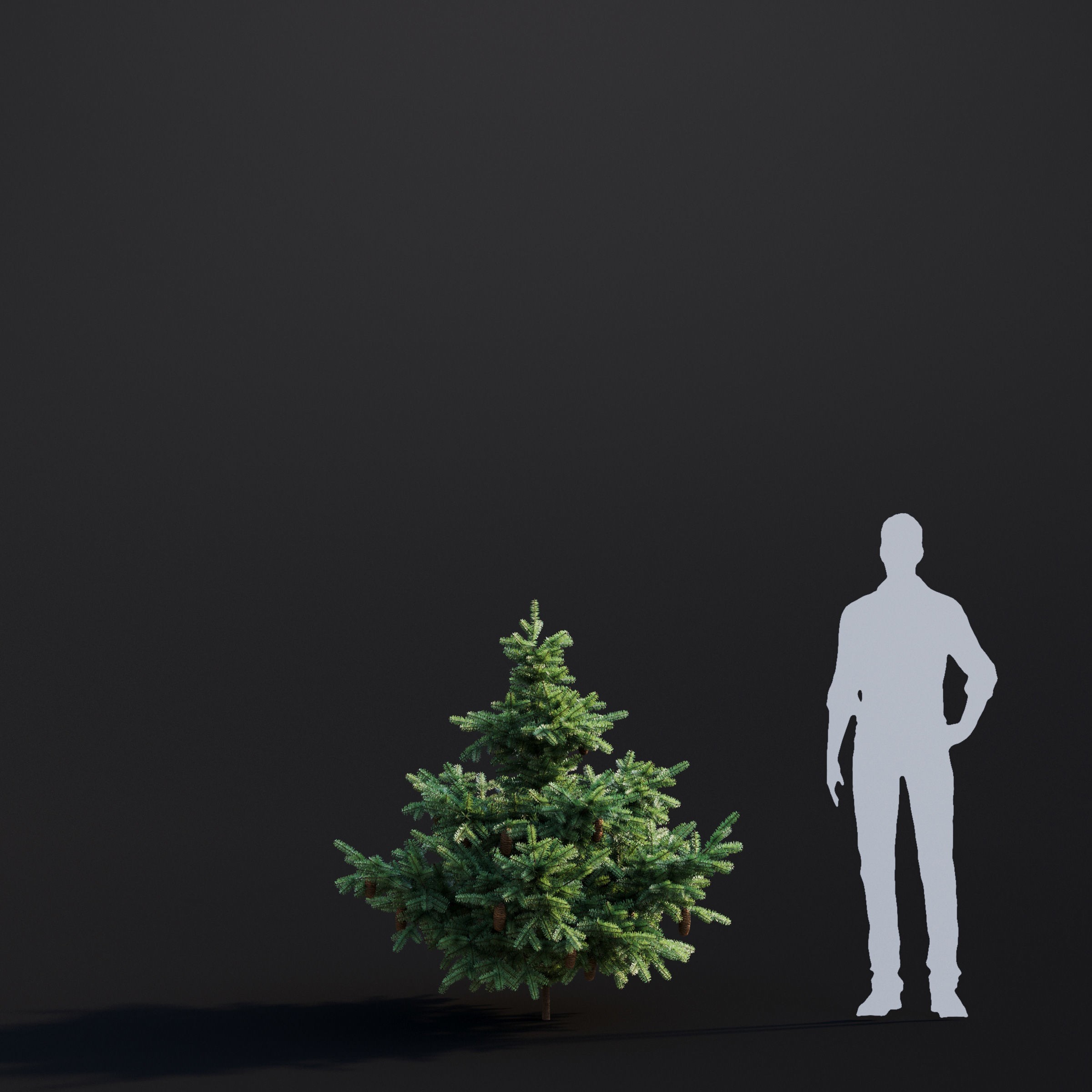 Spring Trees Collection - Game-Ready 3D Model - View 38