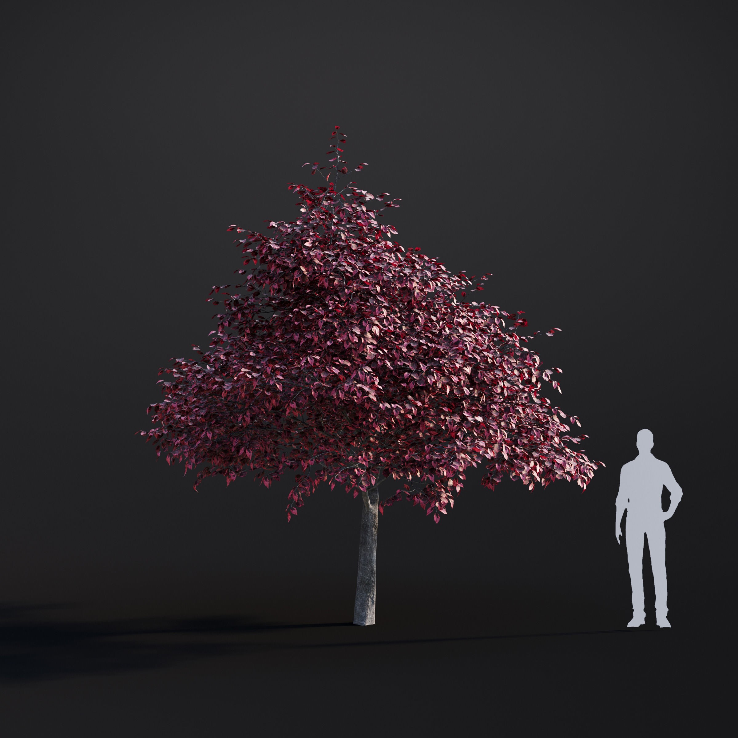 Spring Trees Collection - Game-Ready 3D Model - View 39