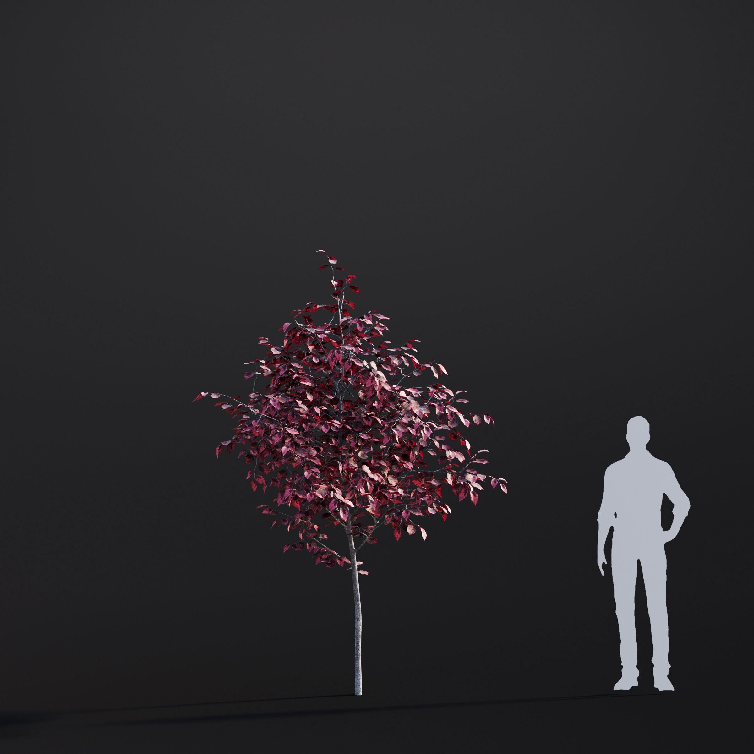 Spring Trees Collection - Game-Ready 3D Model - View 40