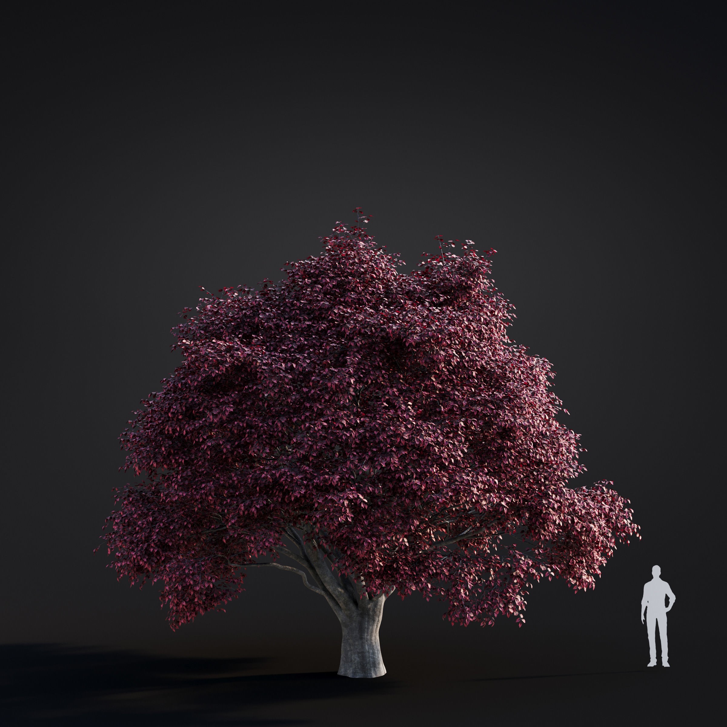 Spring Trees Collection - Game-Ready 3D Model - View 41
