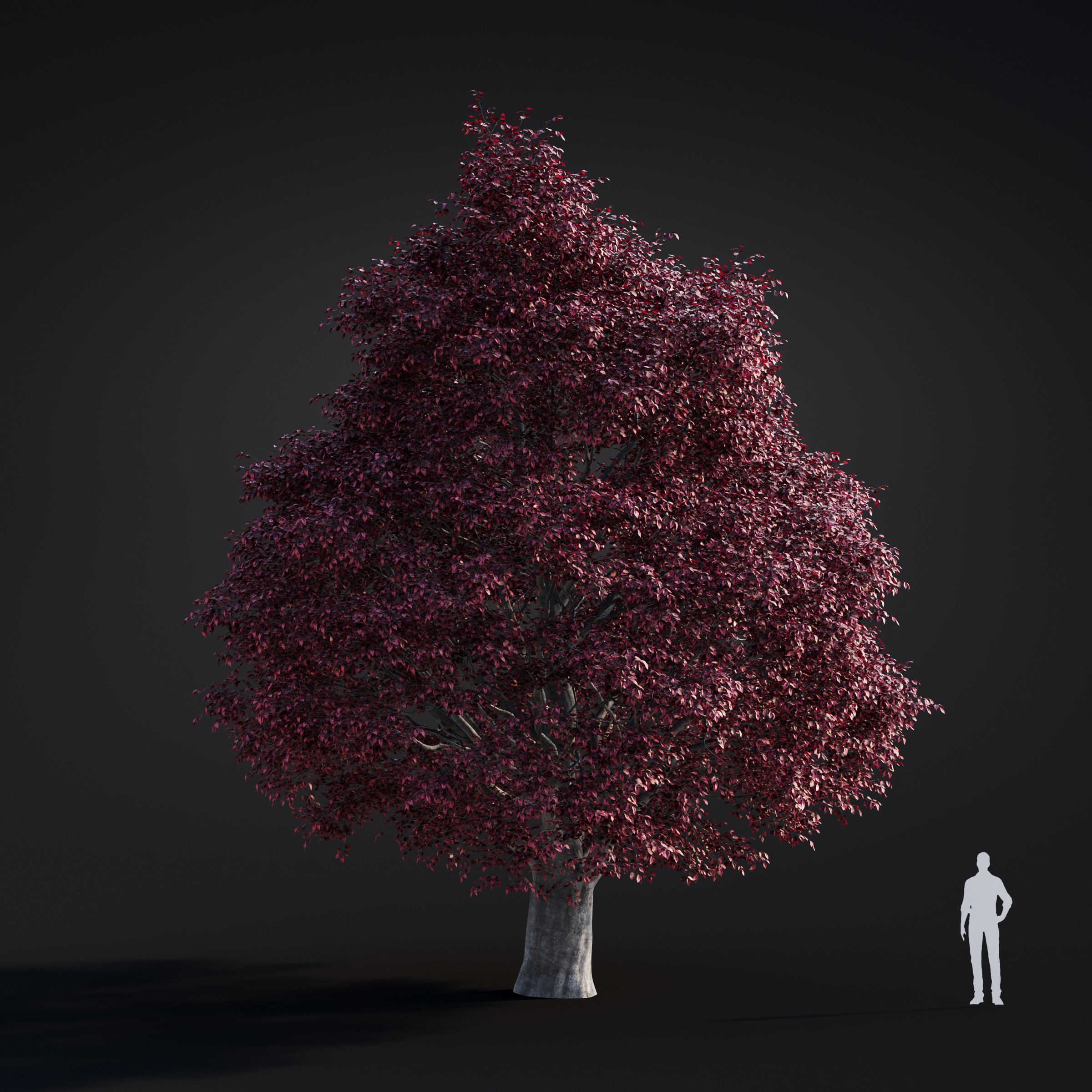 Spring Trees Collection - Game-Ready 3D Model - View 42