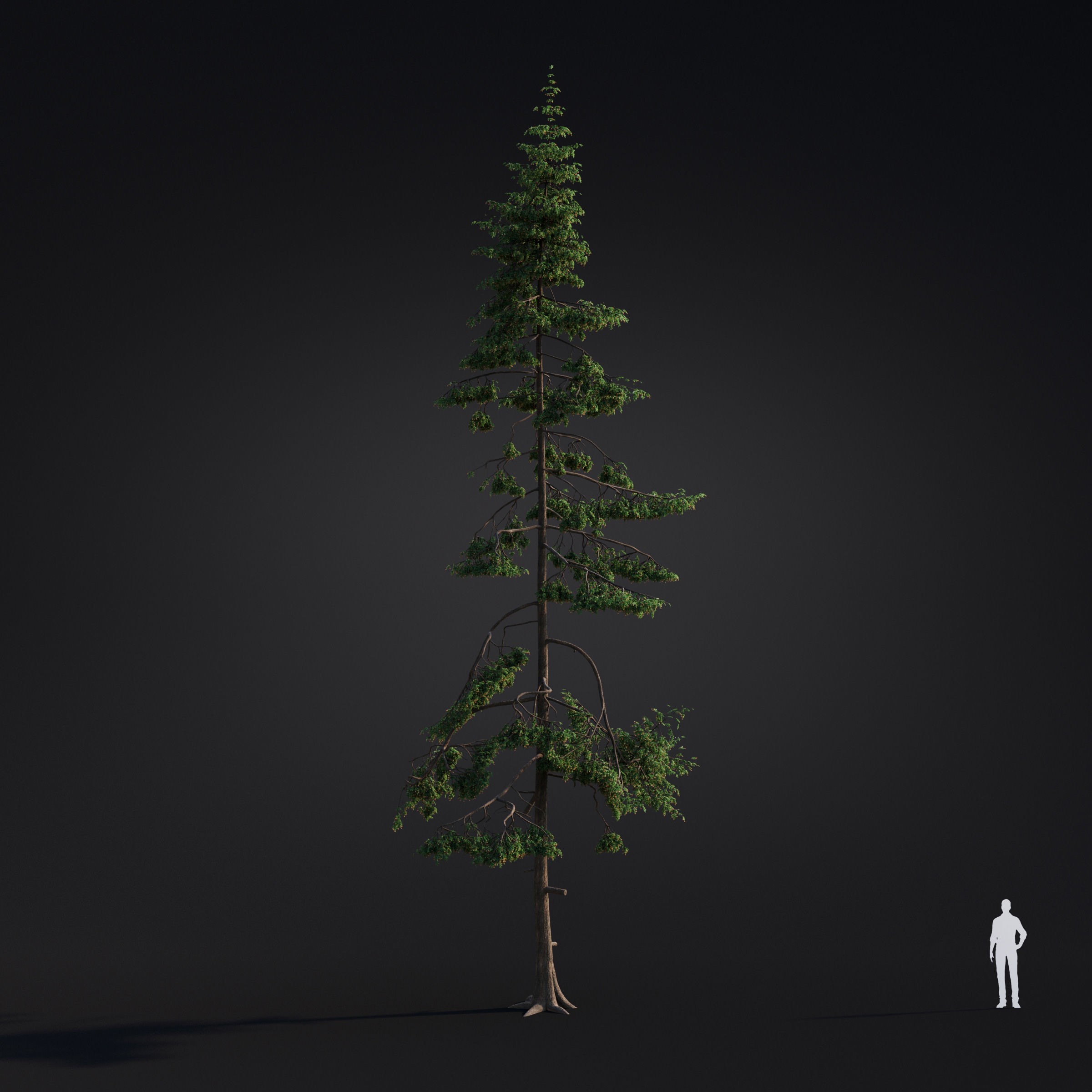 Spring Trees Collection - Game-Ready 3D Model - View 43