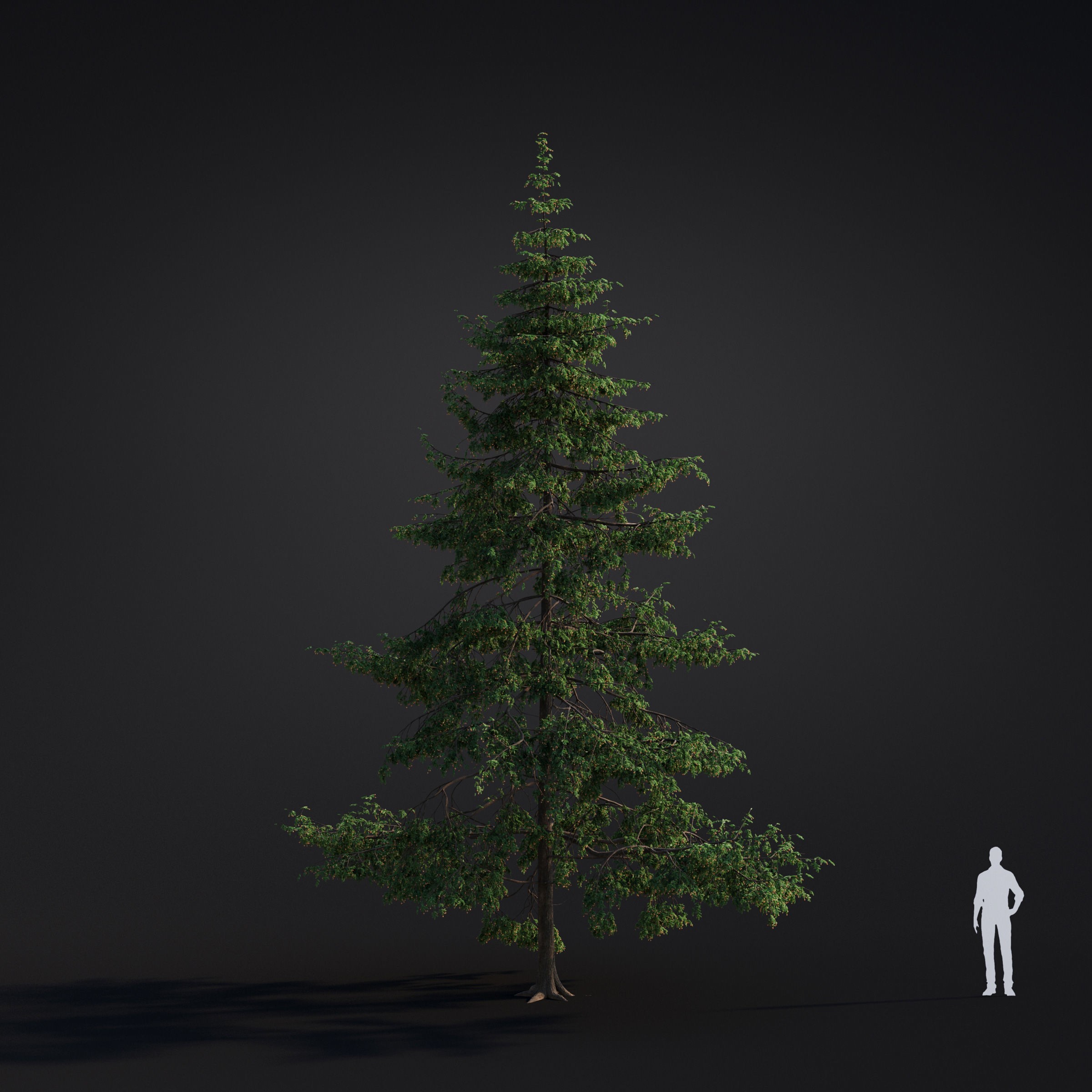 Spring Trees Collection - Game-Ready 3D Model - View 44