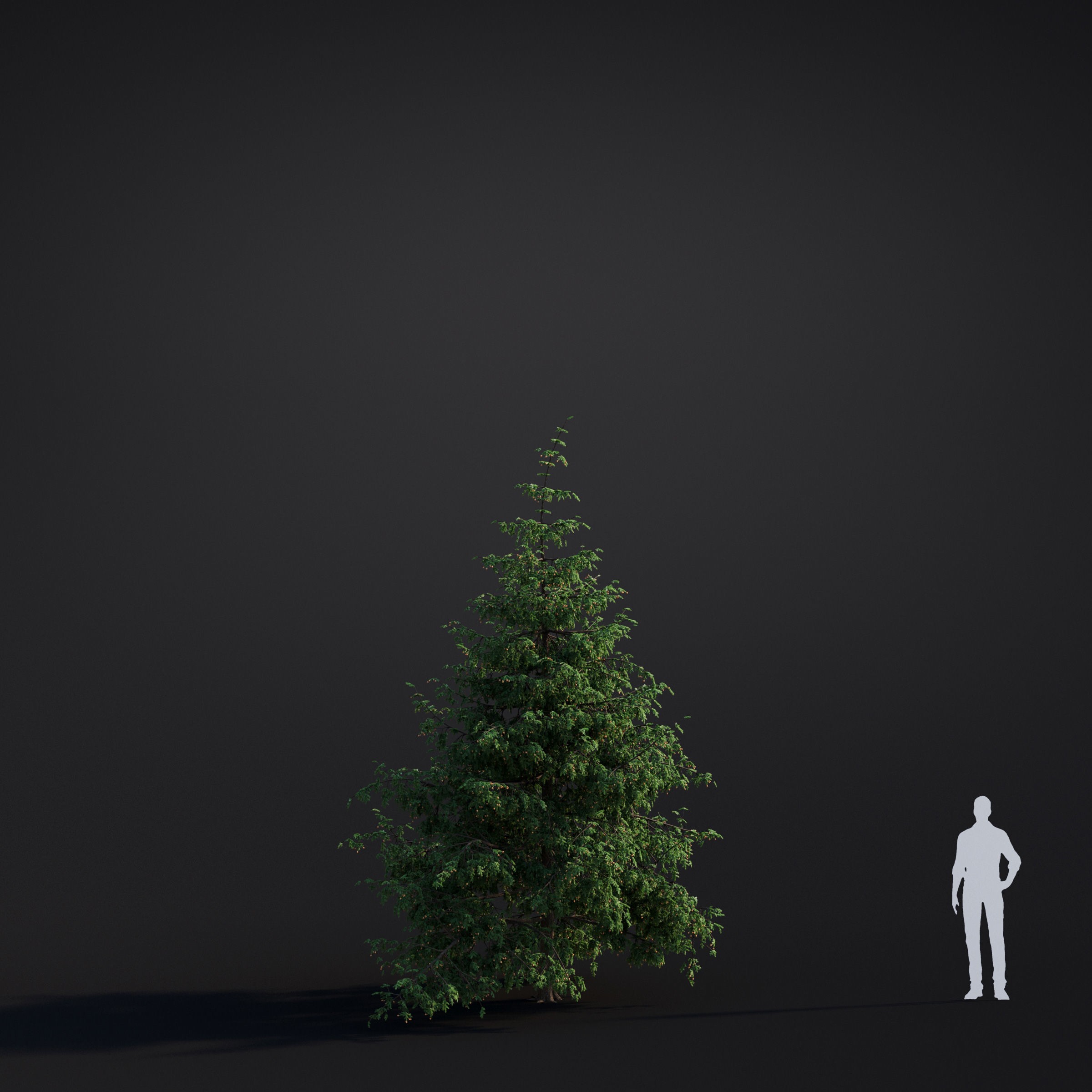 Spring Trees Collection - Game-Ready 3D Model - View 45