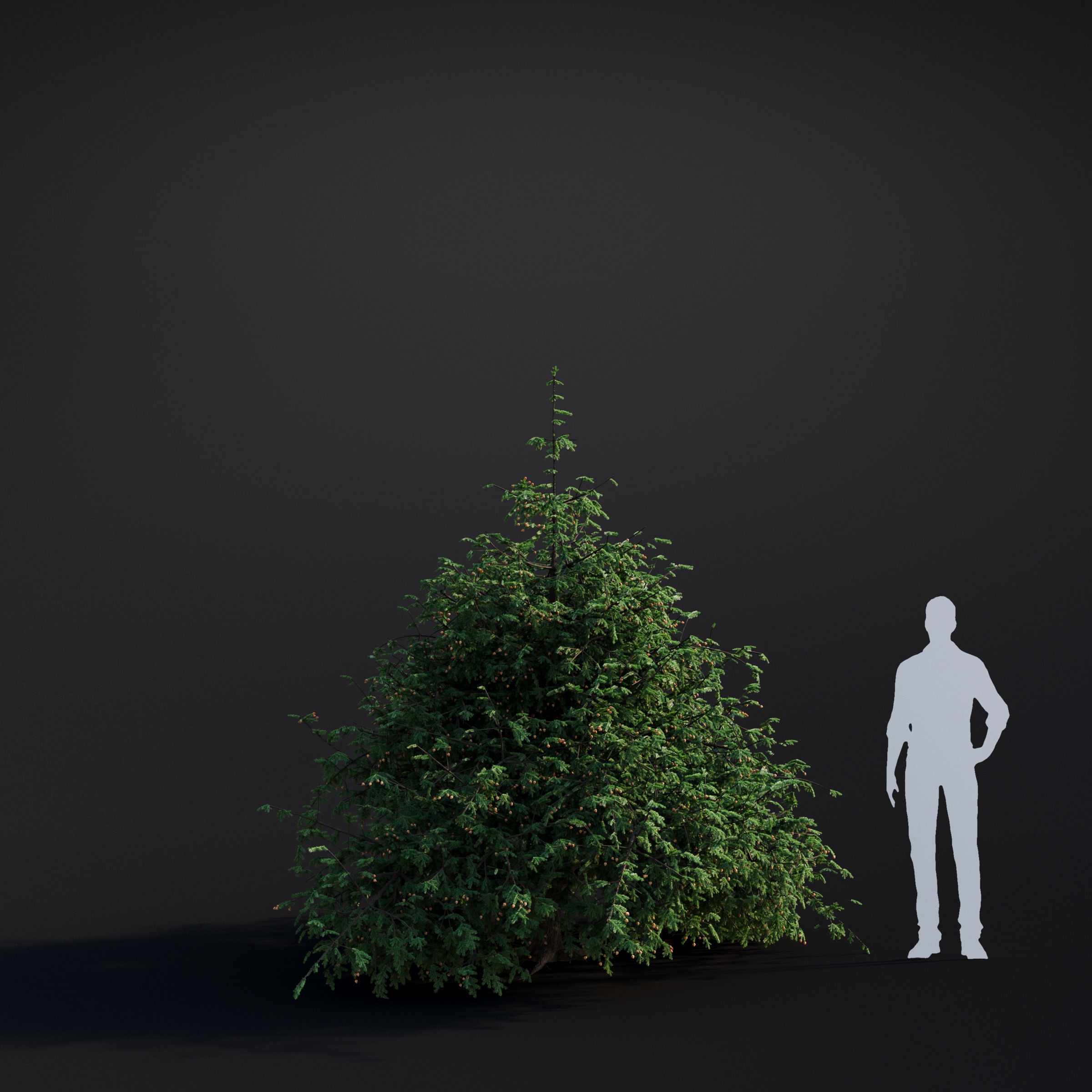 Spring Trees Collection - Game-Ready 3D Model - View 46