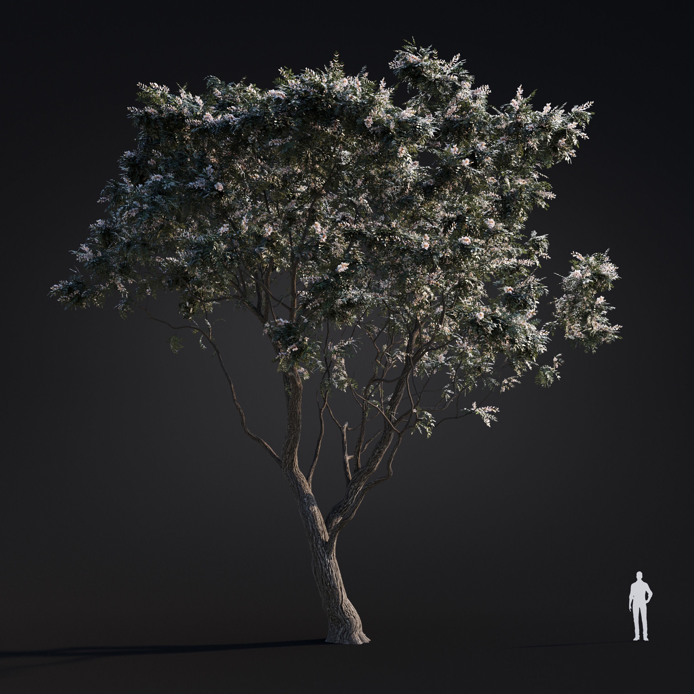 Spring Trees Collection - Game-Ready 3D Model - View 47