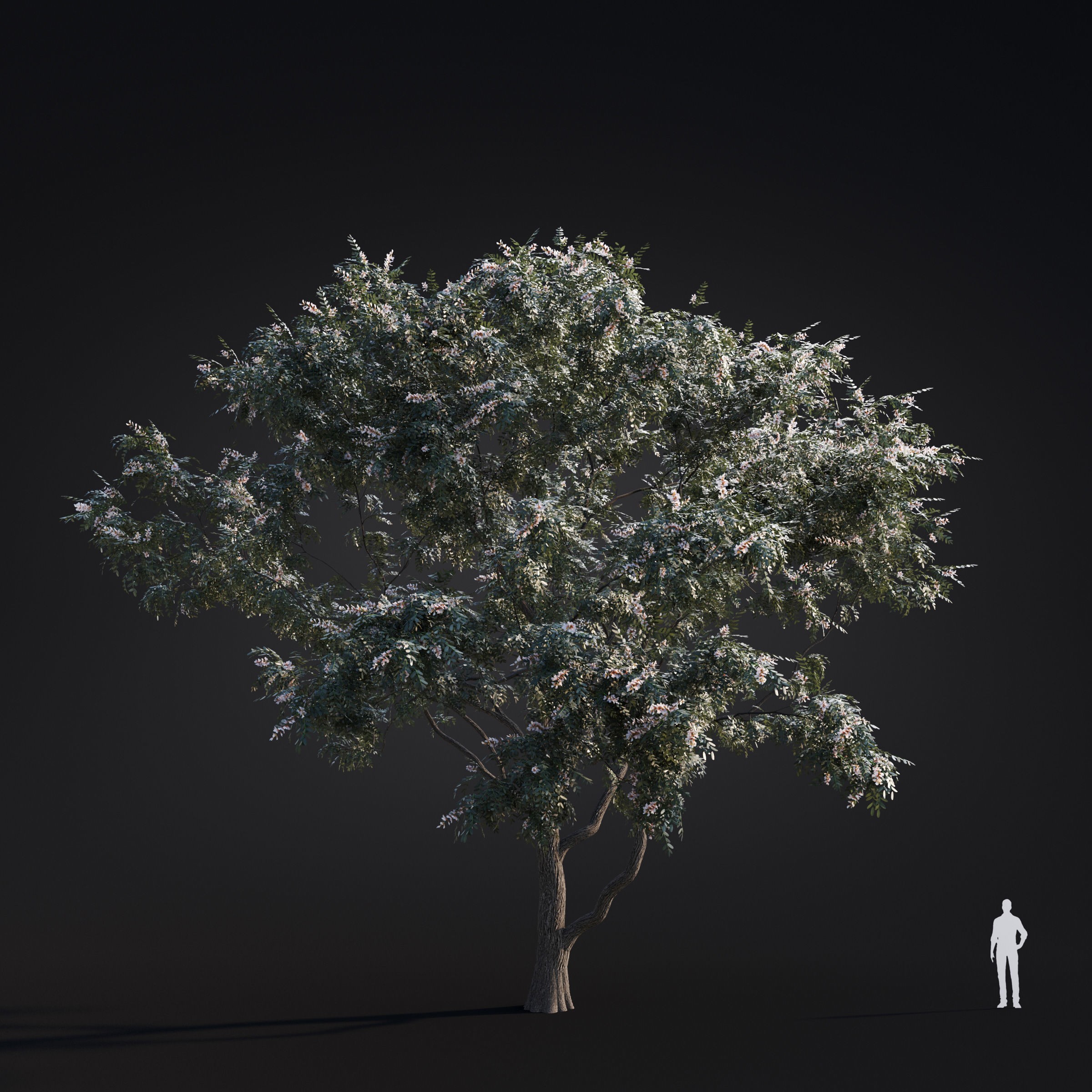 Spring Trees Collection - Game-Ready 3D Model - View 48