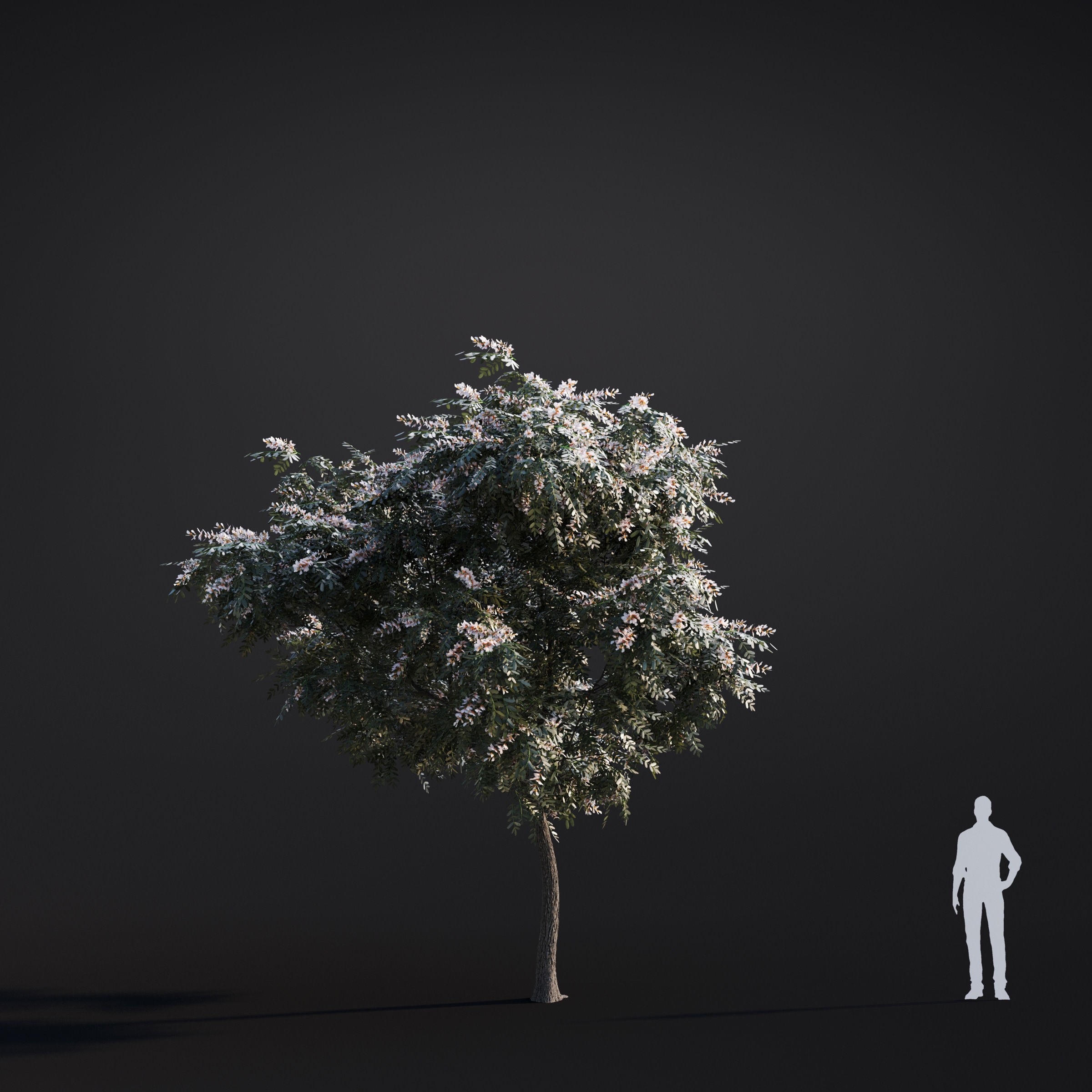 Spring Trees Collection - Game-Ready 3D Model - View 49