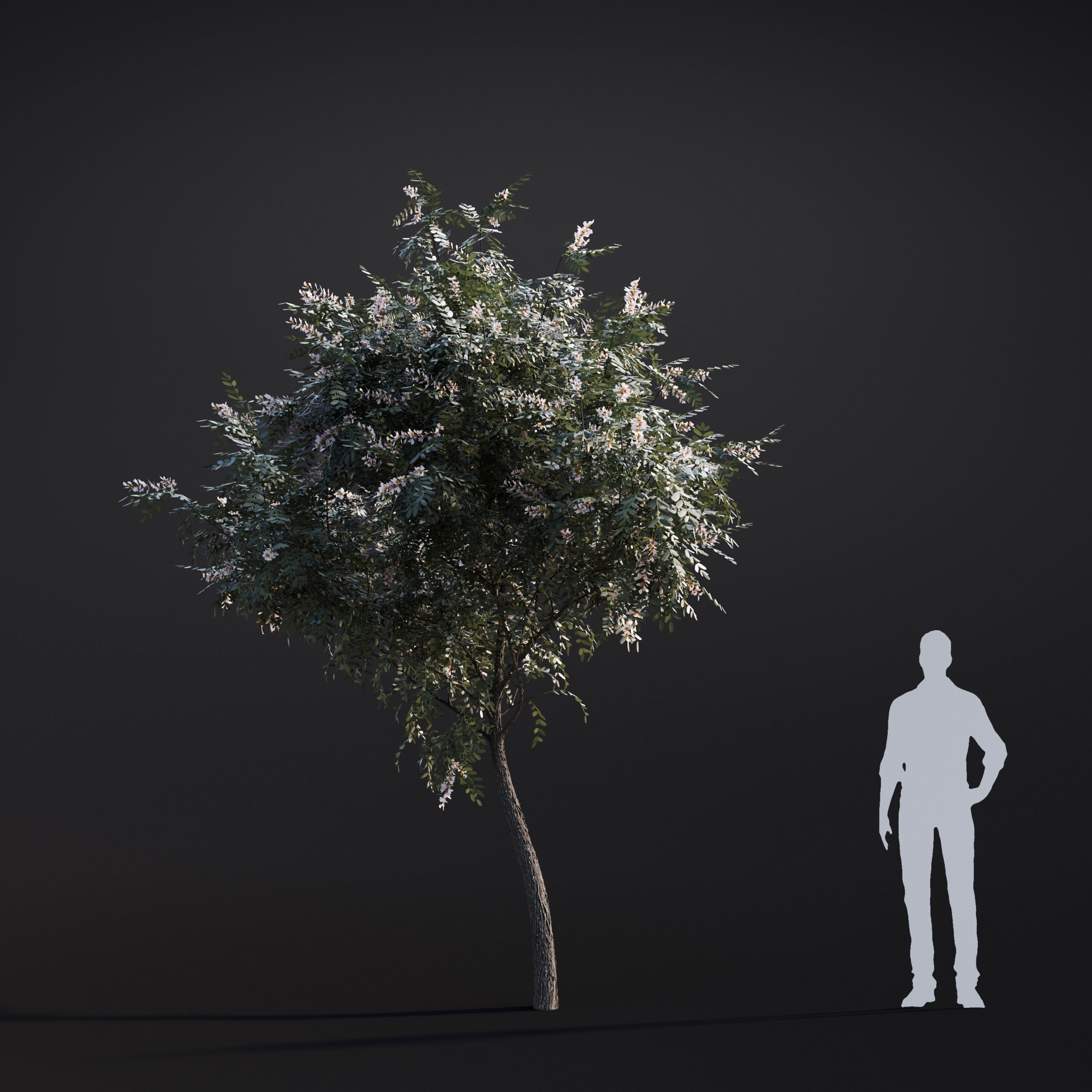 Spring Trees Collection - Game-Ready 3D Model - View 50